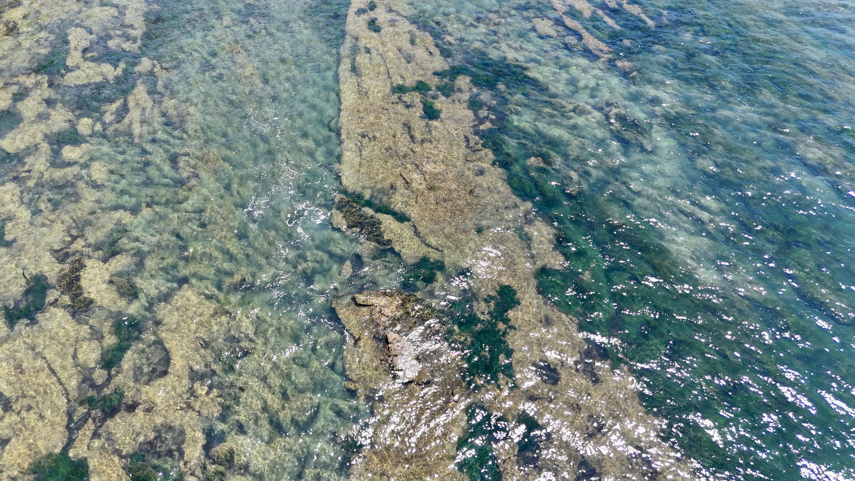 dji_fly_20250707_122544_0400_1751919810313_photo.jpeg