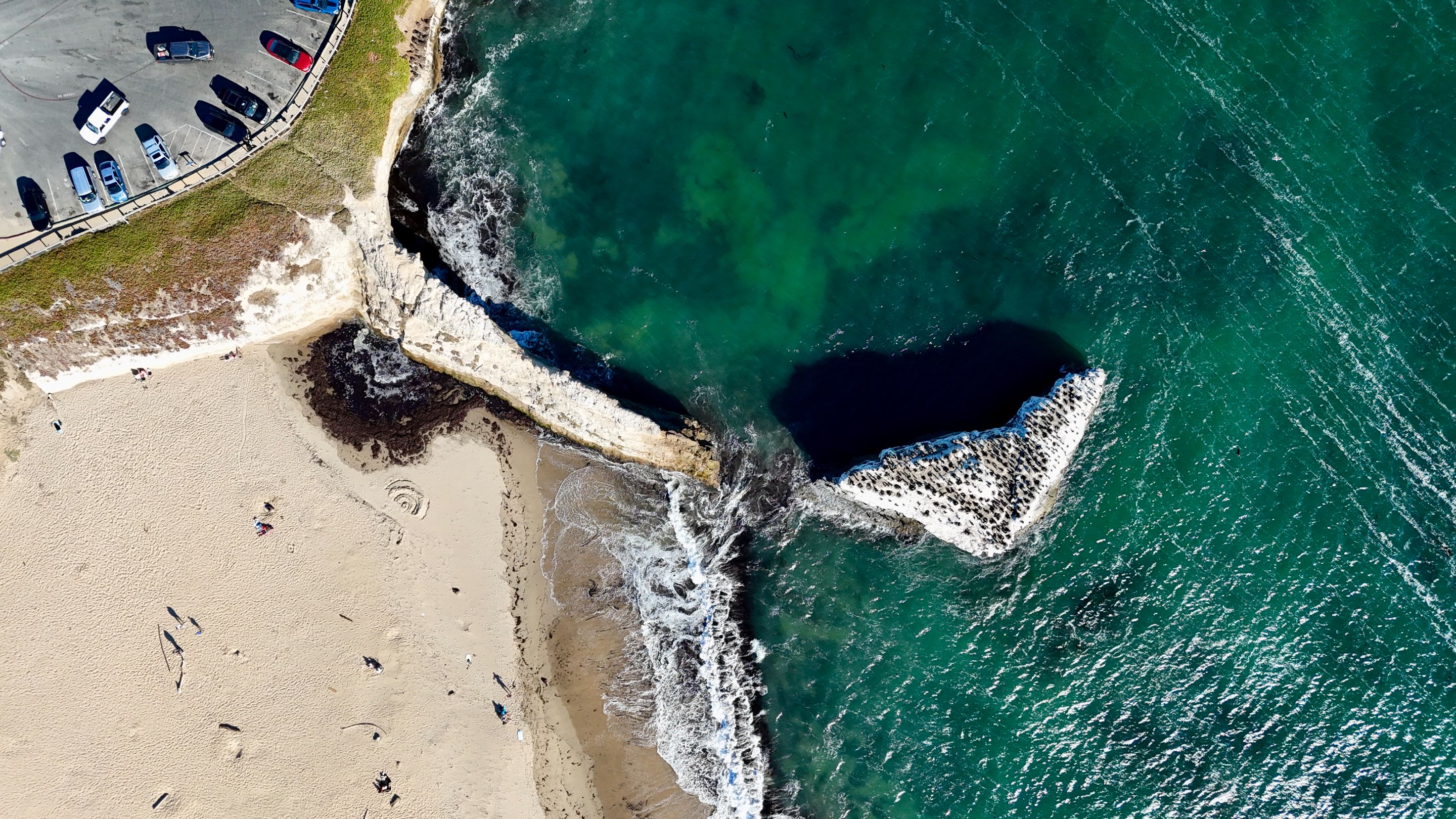 dji_fly_20250721_174502_0673_1753157250612_photo.jpeg