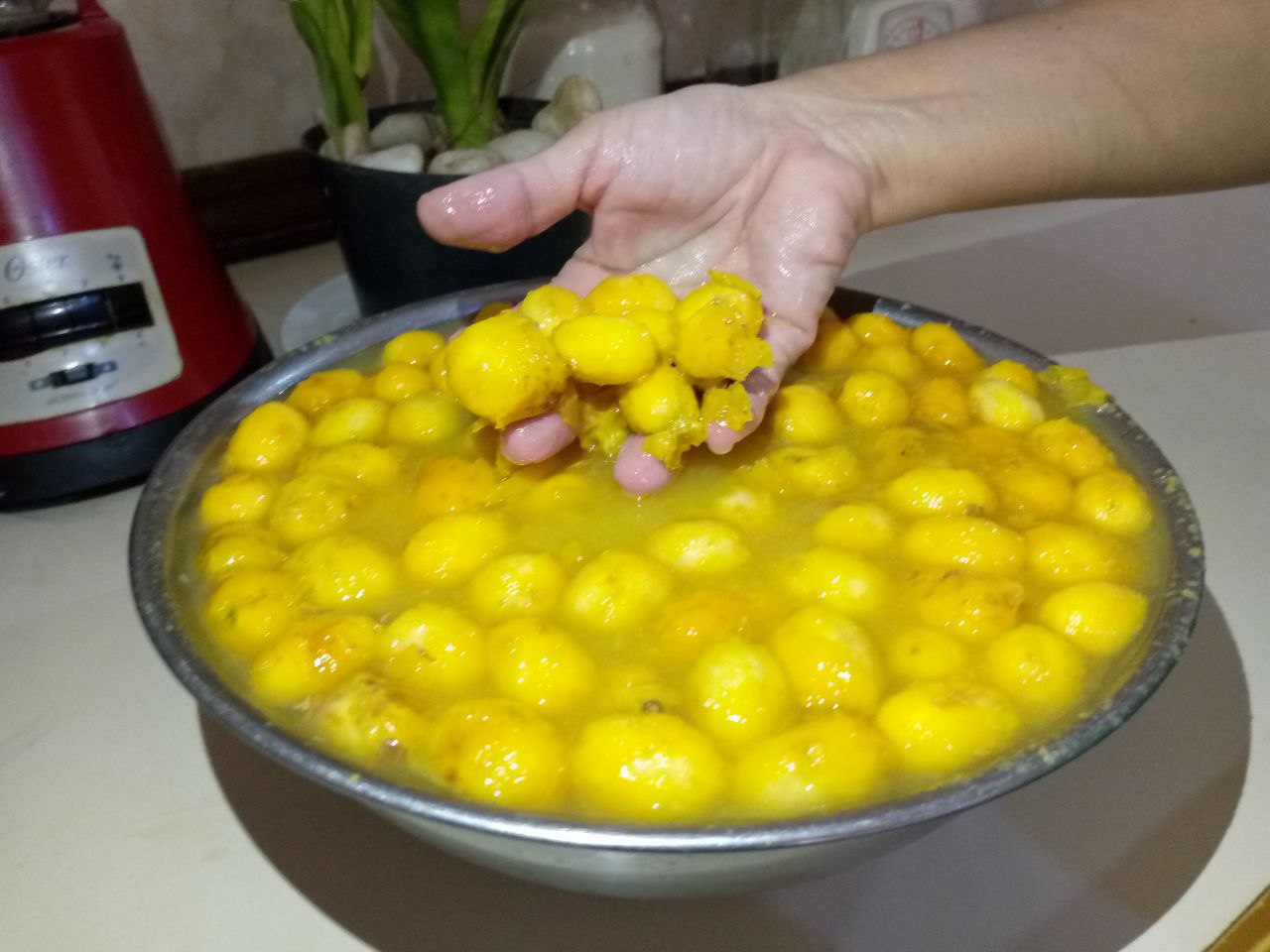5021923470883270956.jpg