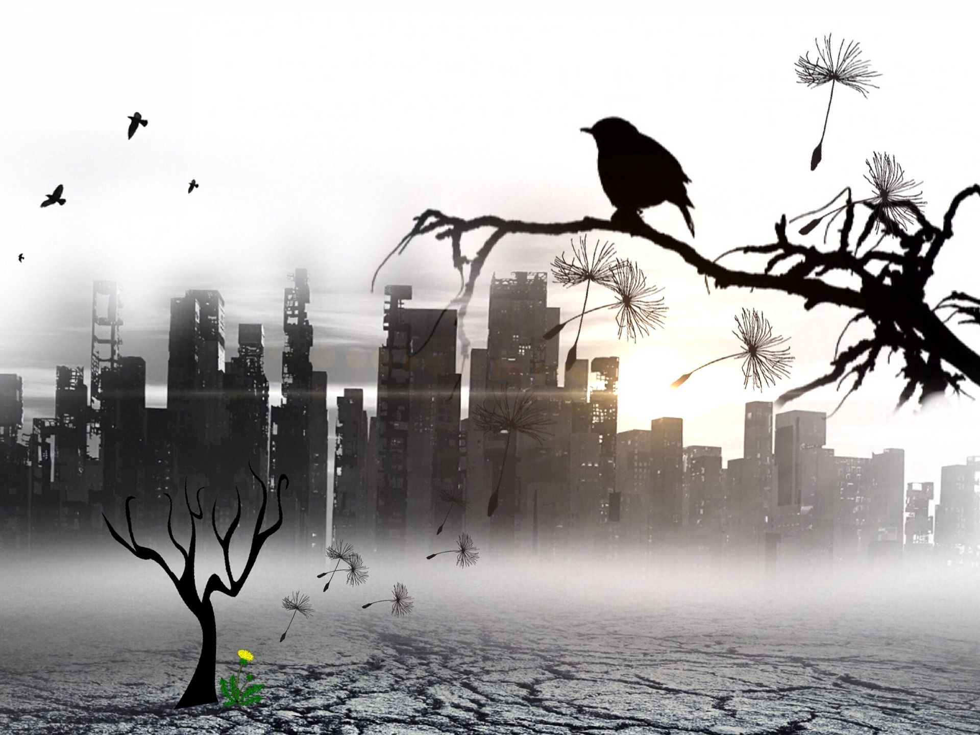 bird-474253_1920.jpg