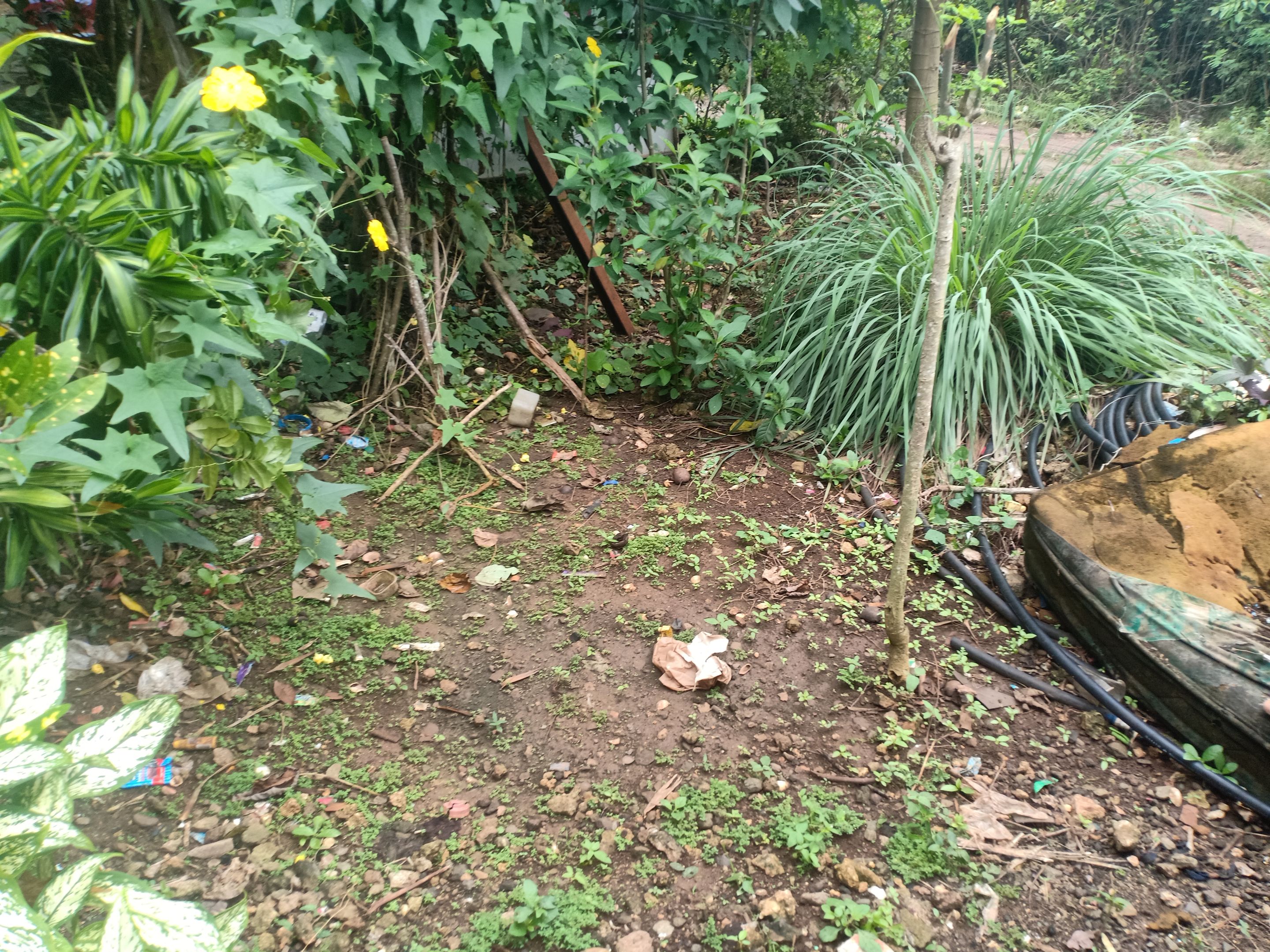 IMG20250225104719.jpg
