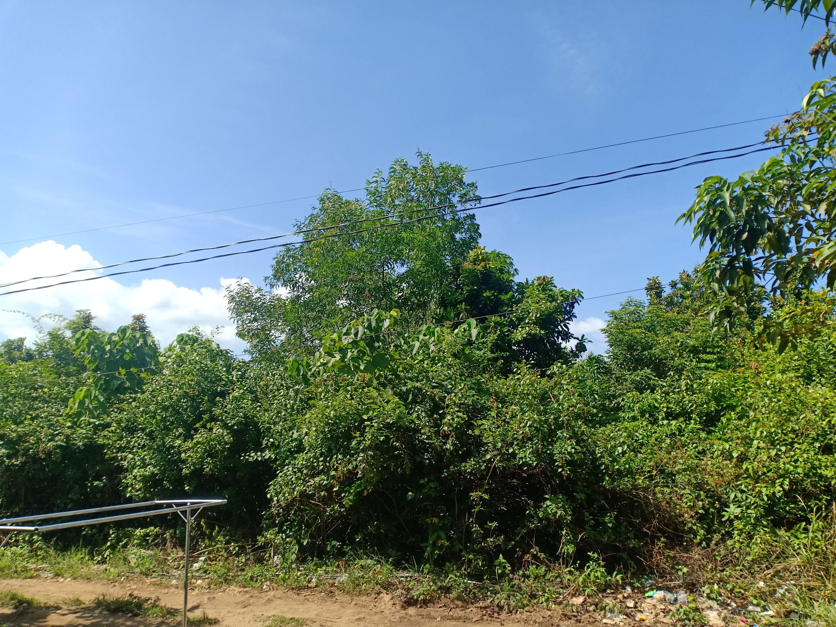 IMG20250227134051.jpg