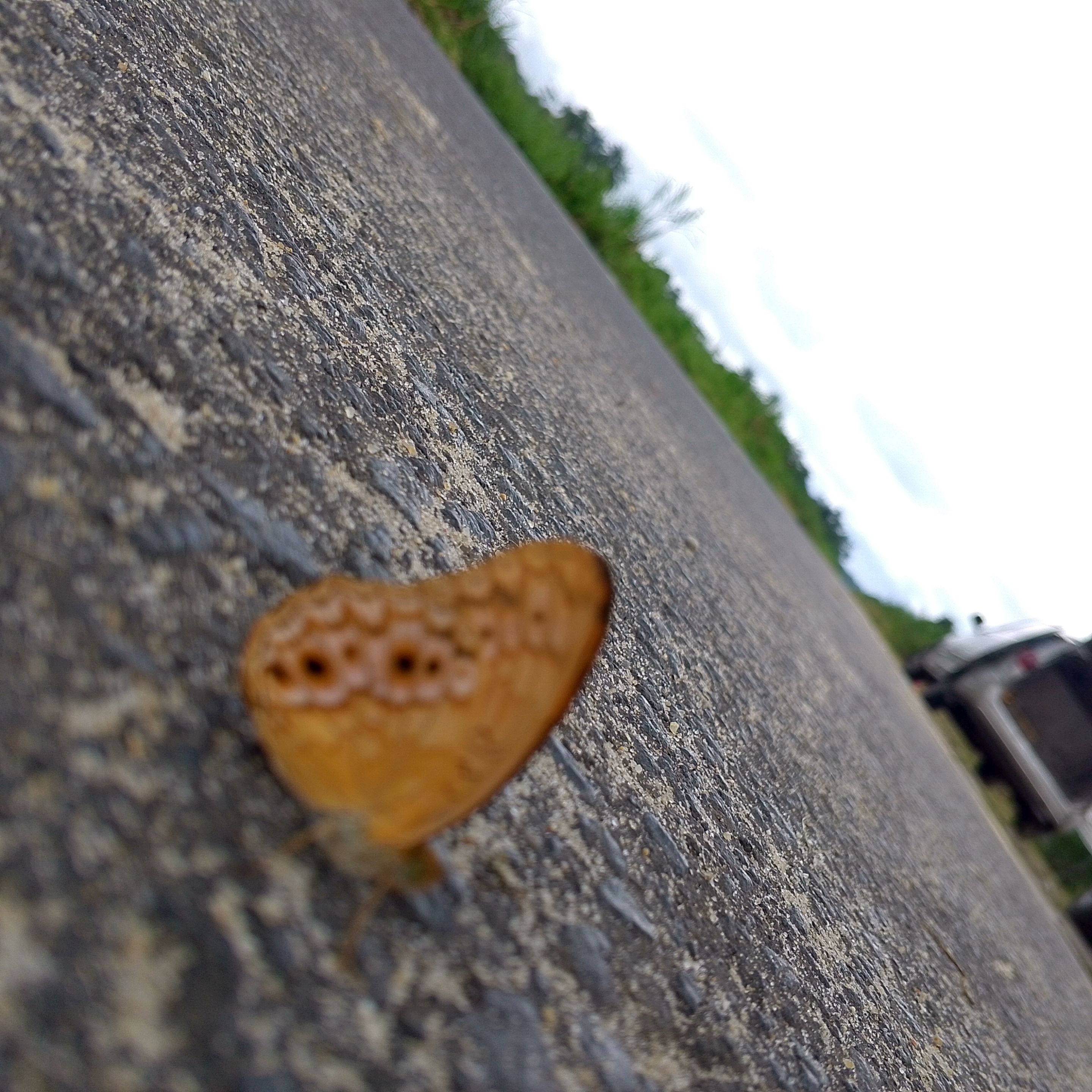 1000724472.jpg