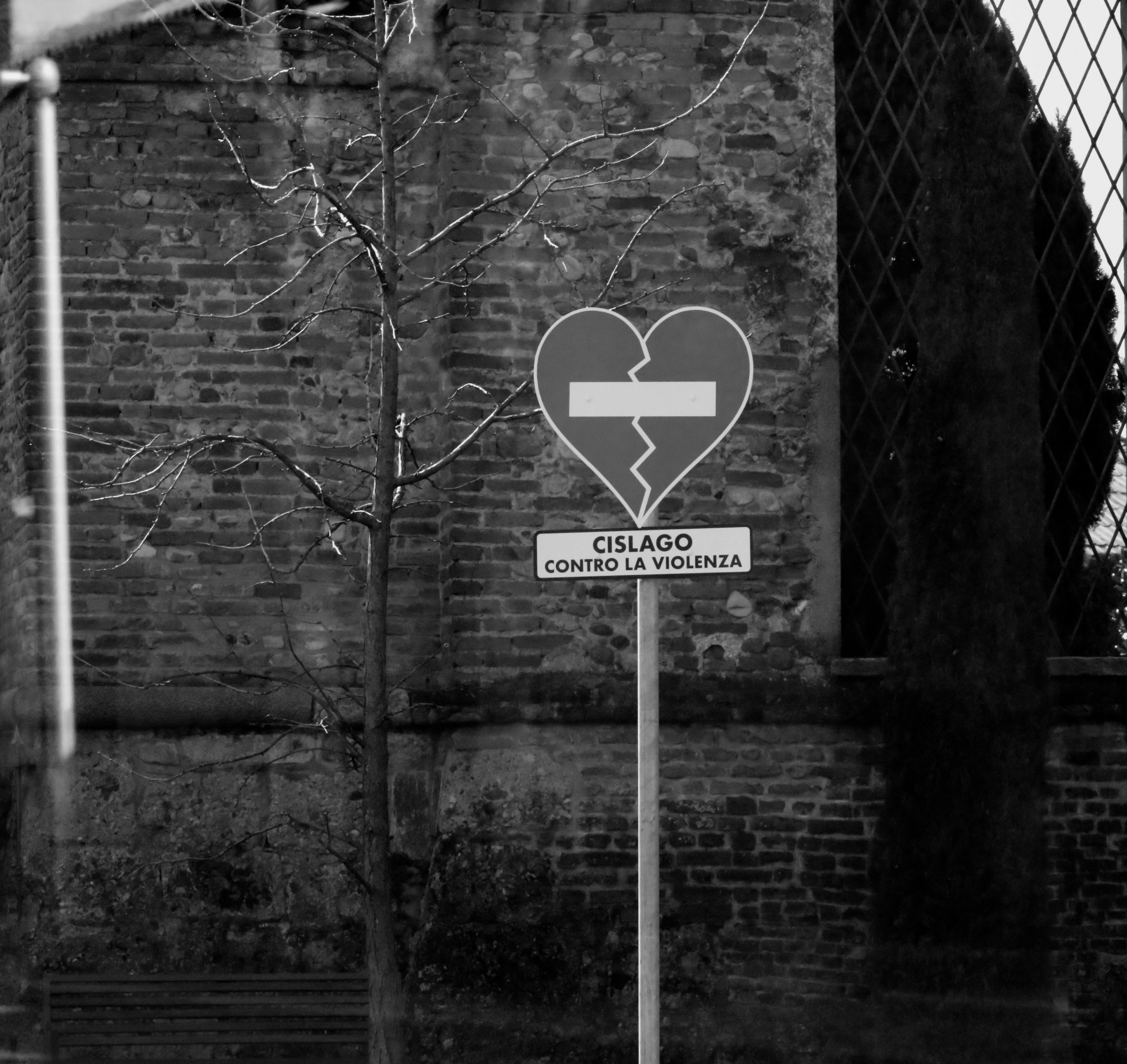 cuore_cislago.jpg