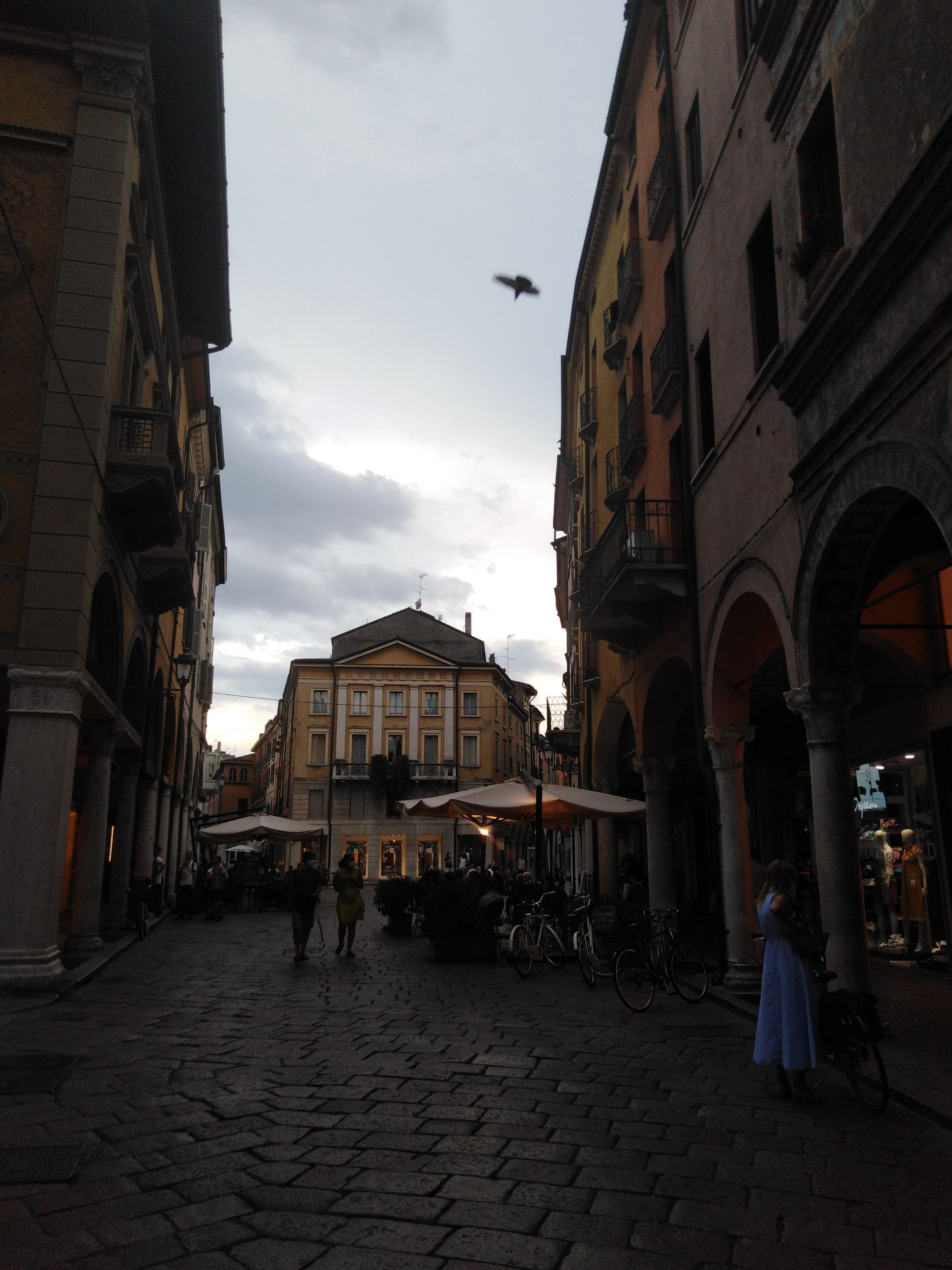 IMG_20200817_193520.jpg