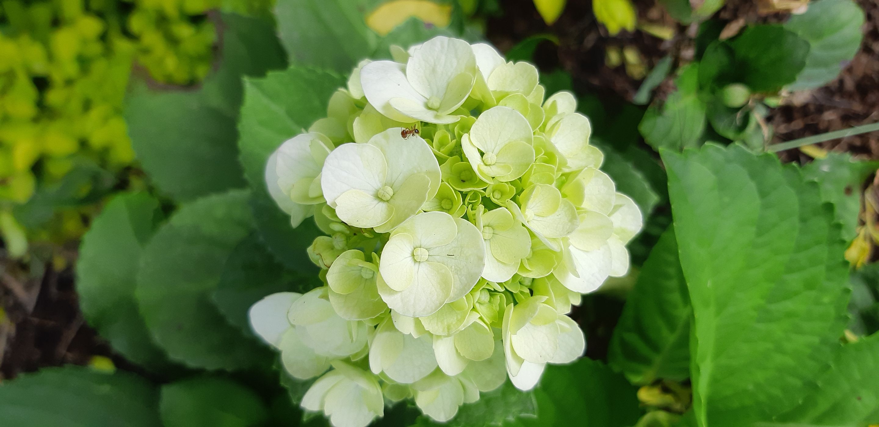 20190412_142009.jpg