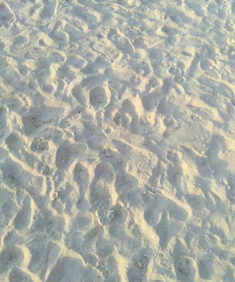 491184724_717247844001270_9101436344374116193_n.jpg
