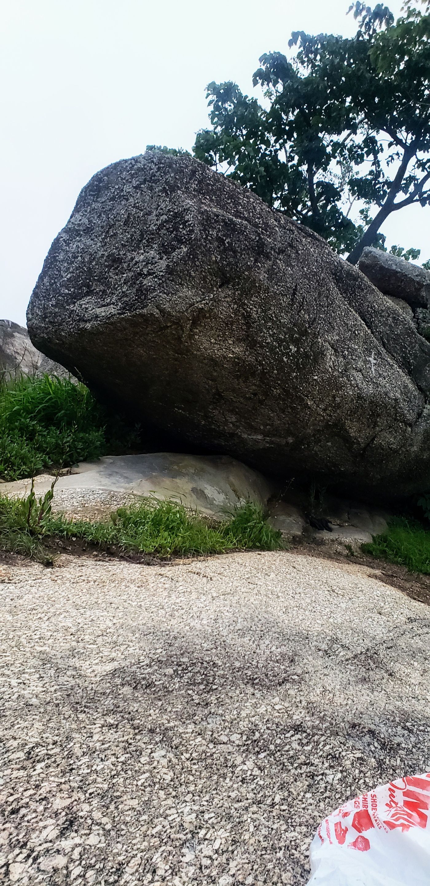 20220504_063150~2.jpg