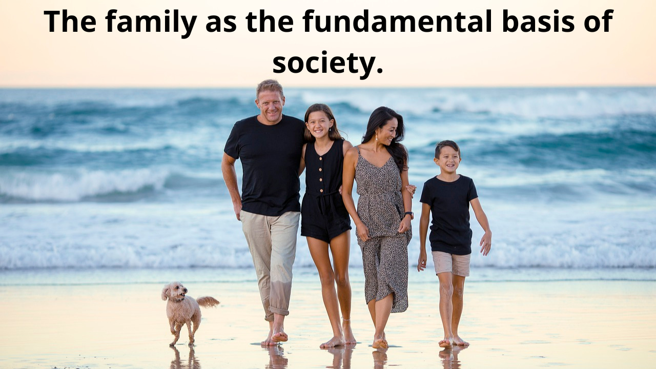 la familia pilar sociedad.png