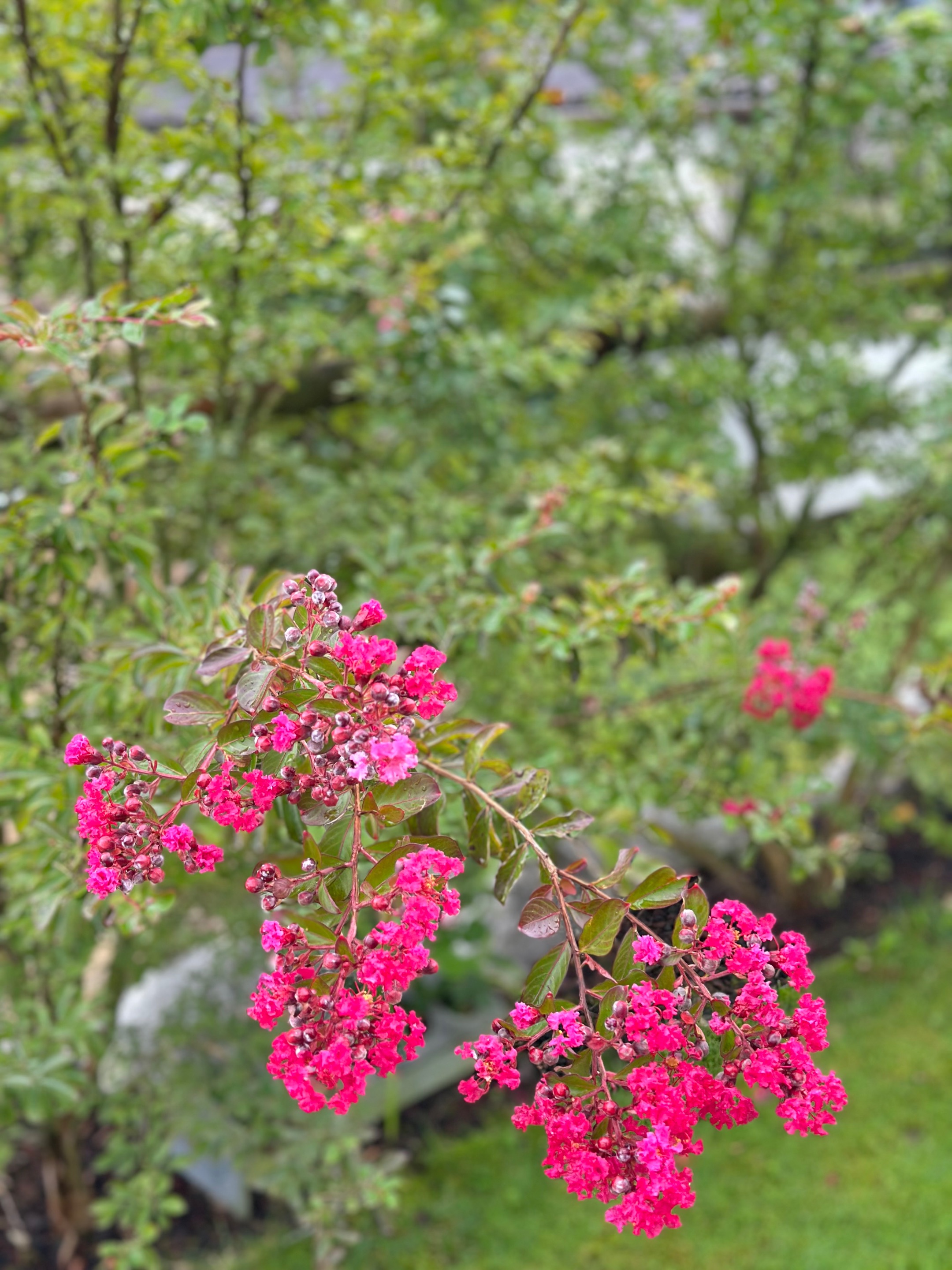 IMG_3804.jpeg