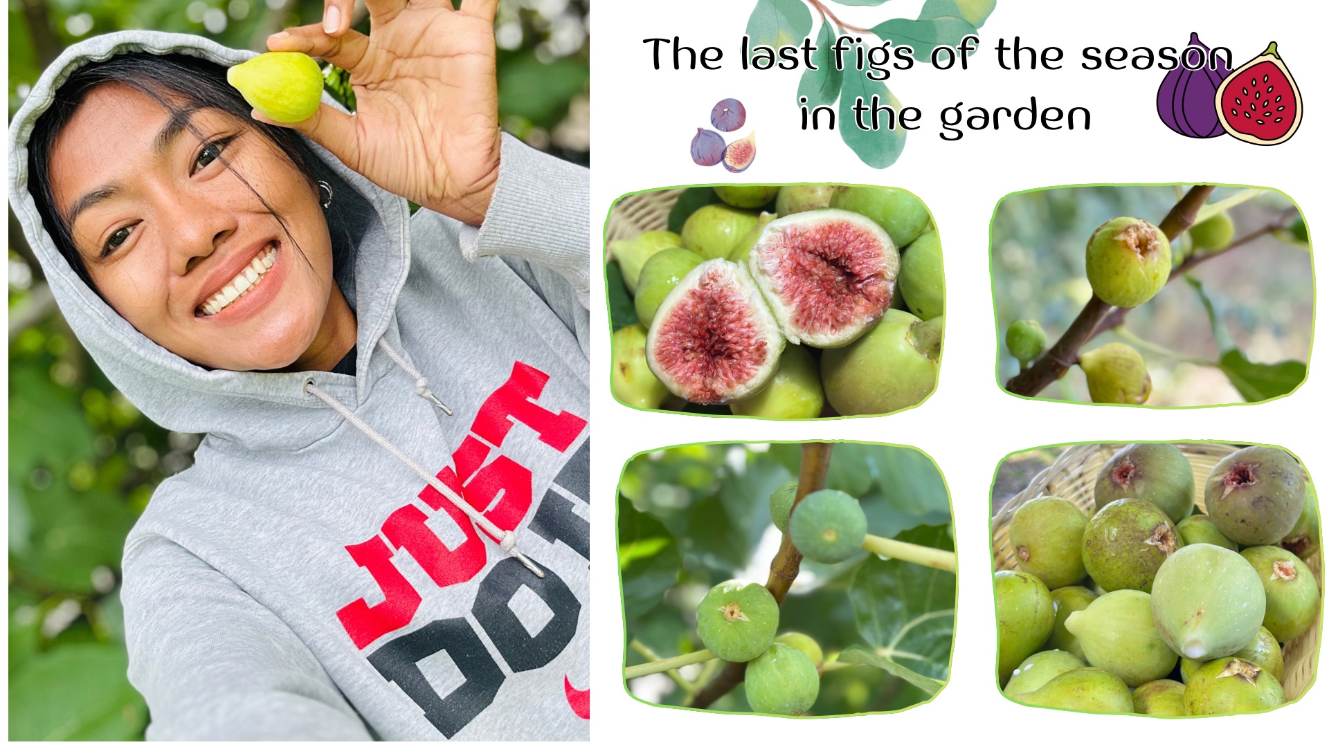The last figs of the season in the garden.png
