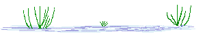 1490187310.gif