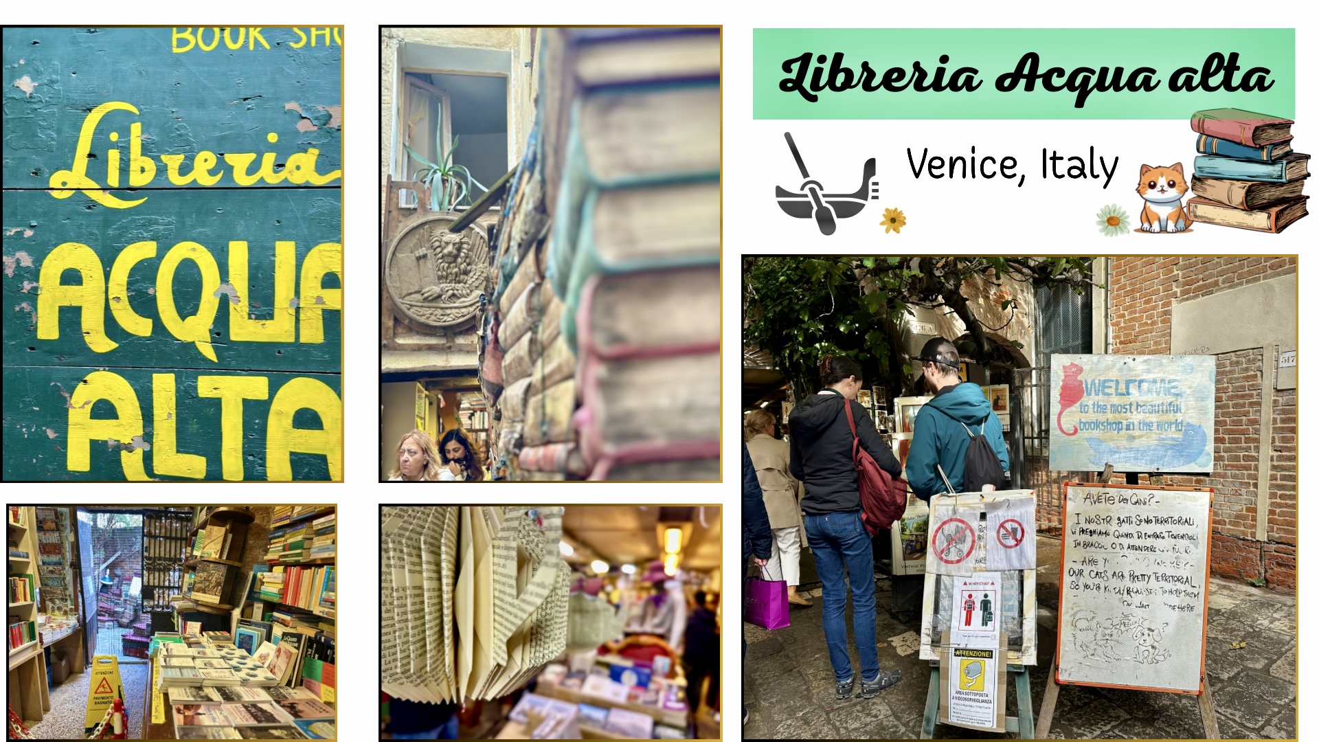 Libreria Acqua alta.jpeg