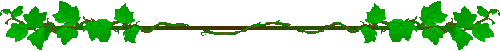 111372471.jpeg