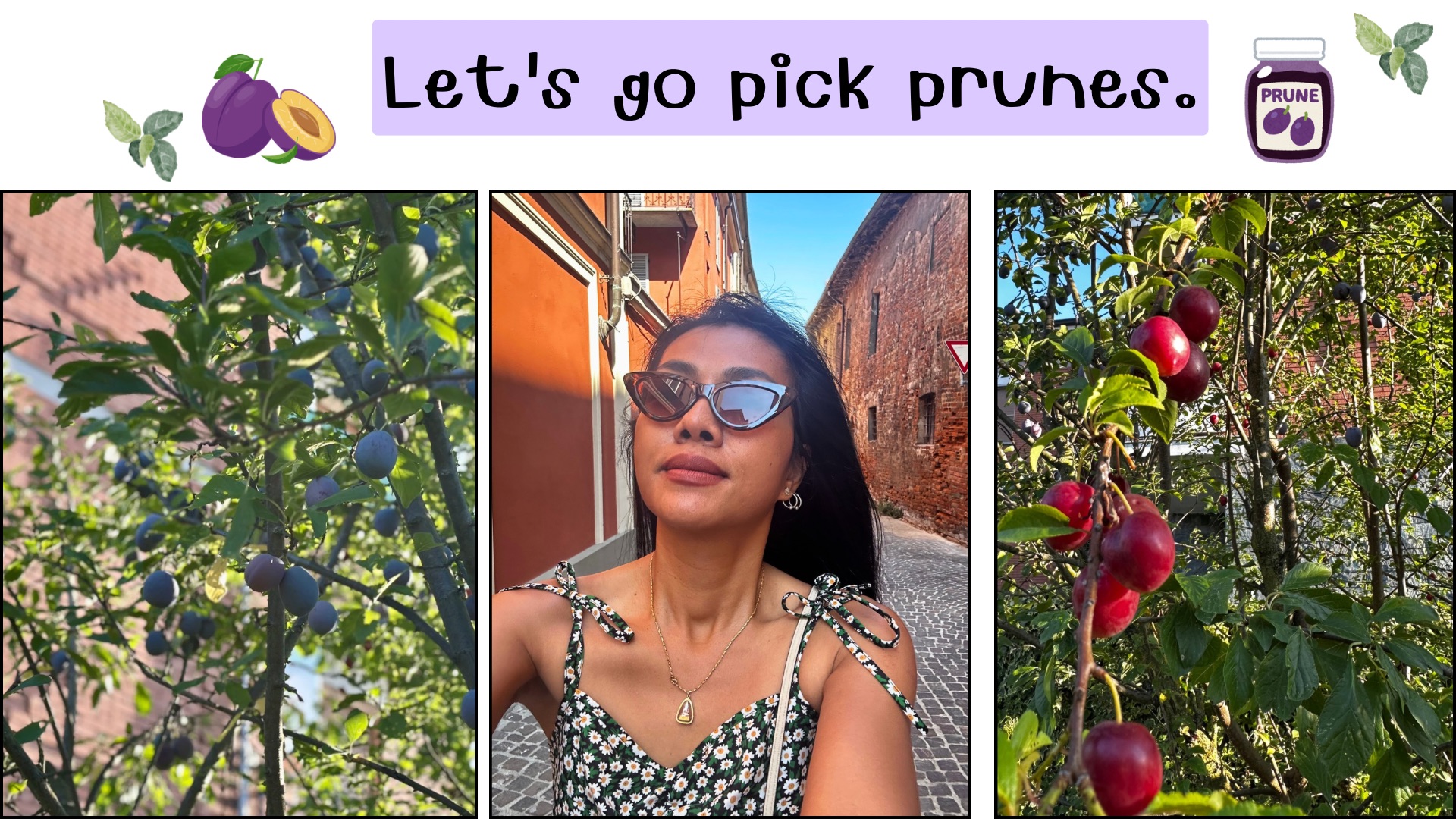 Let's go pick prunes..png