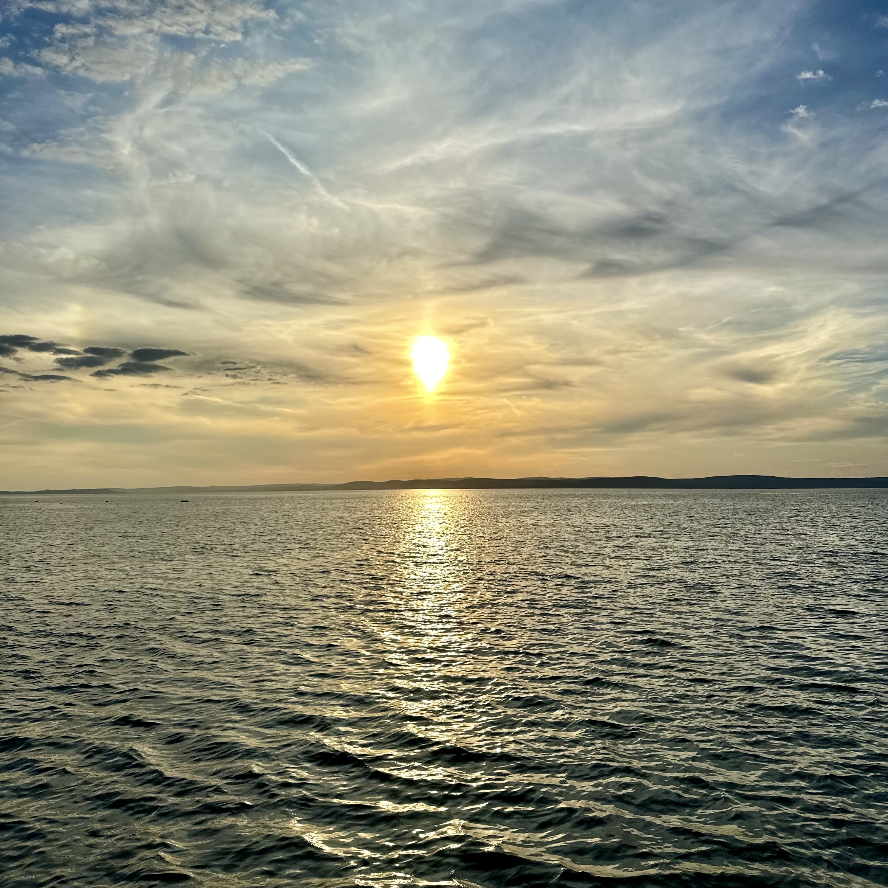 IMG_8629.jpeg