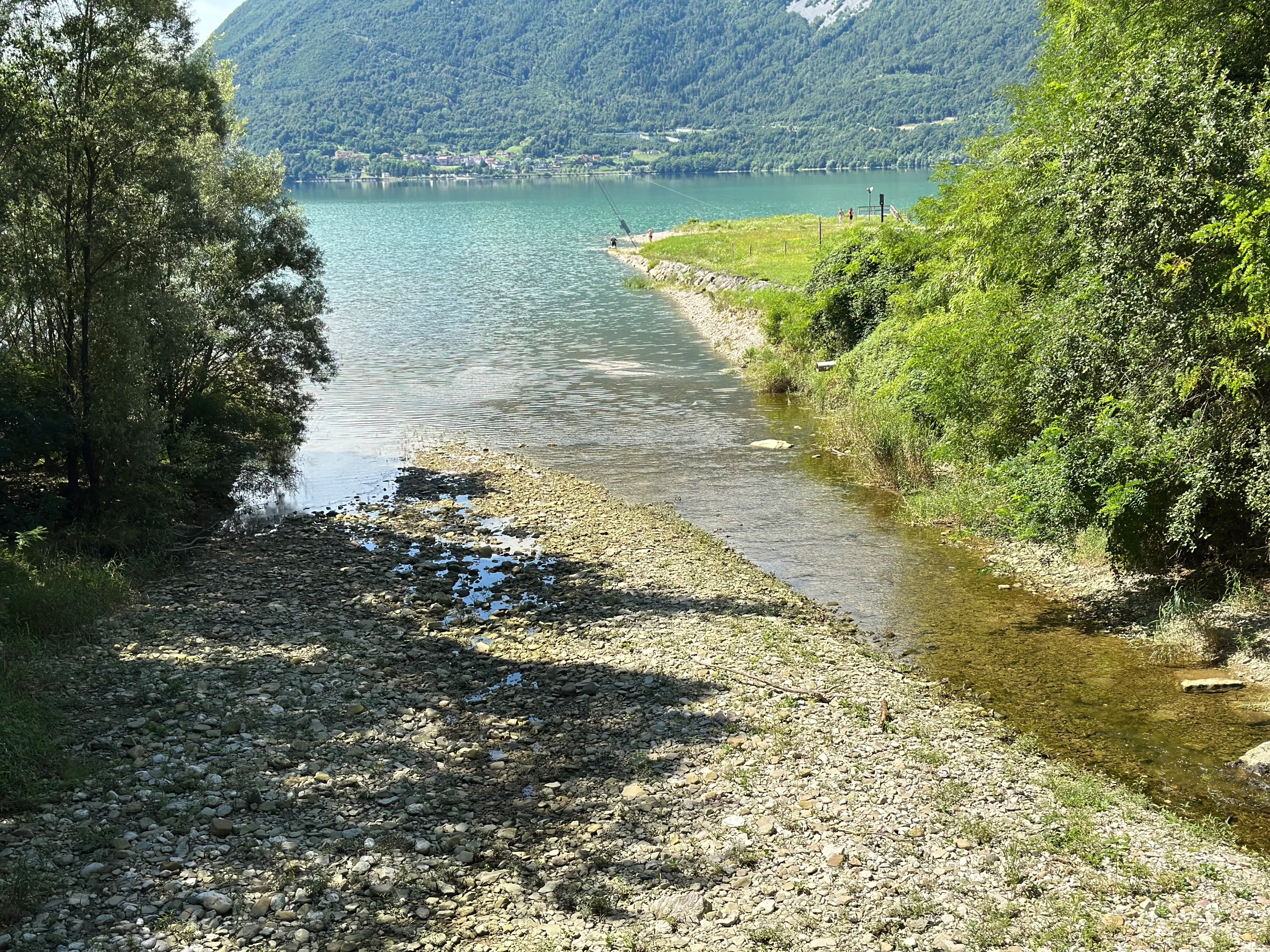 IMG_4798.jpeg