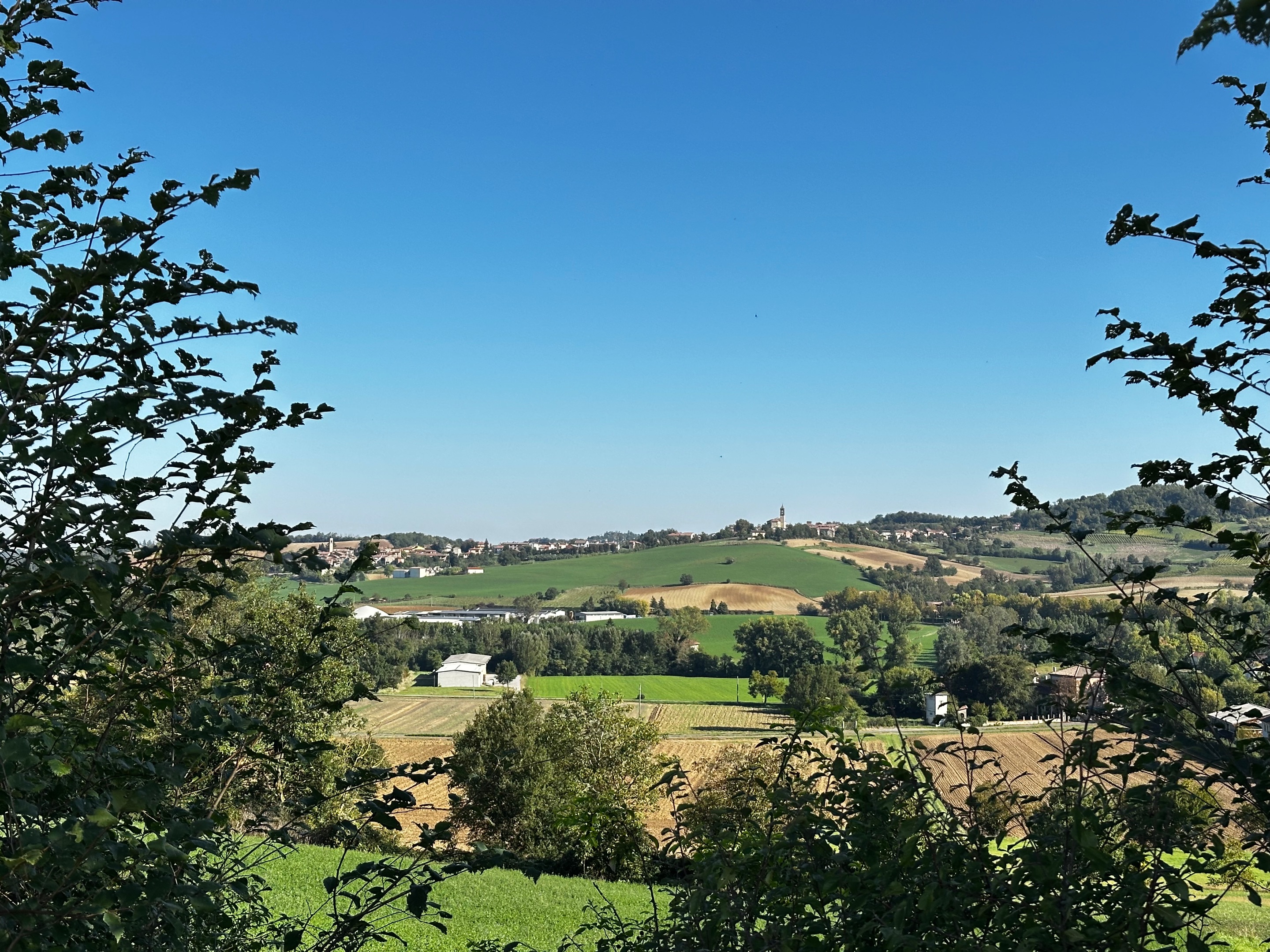 IMG_0727.jpeg