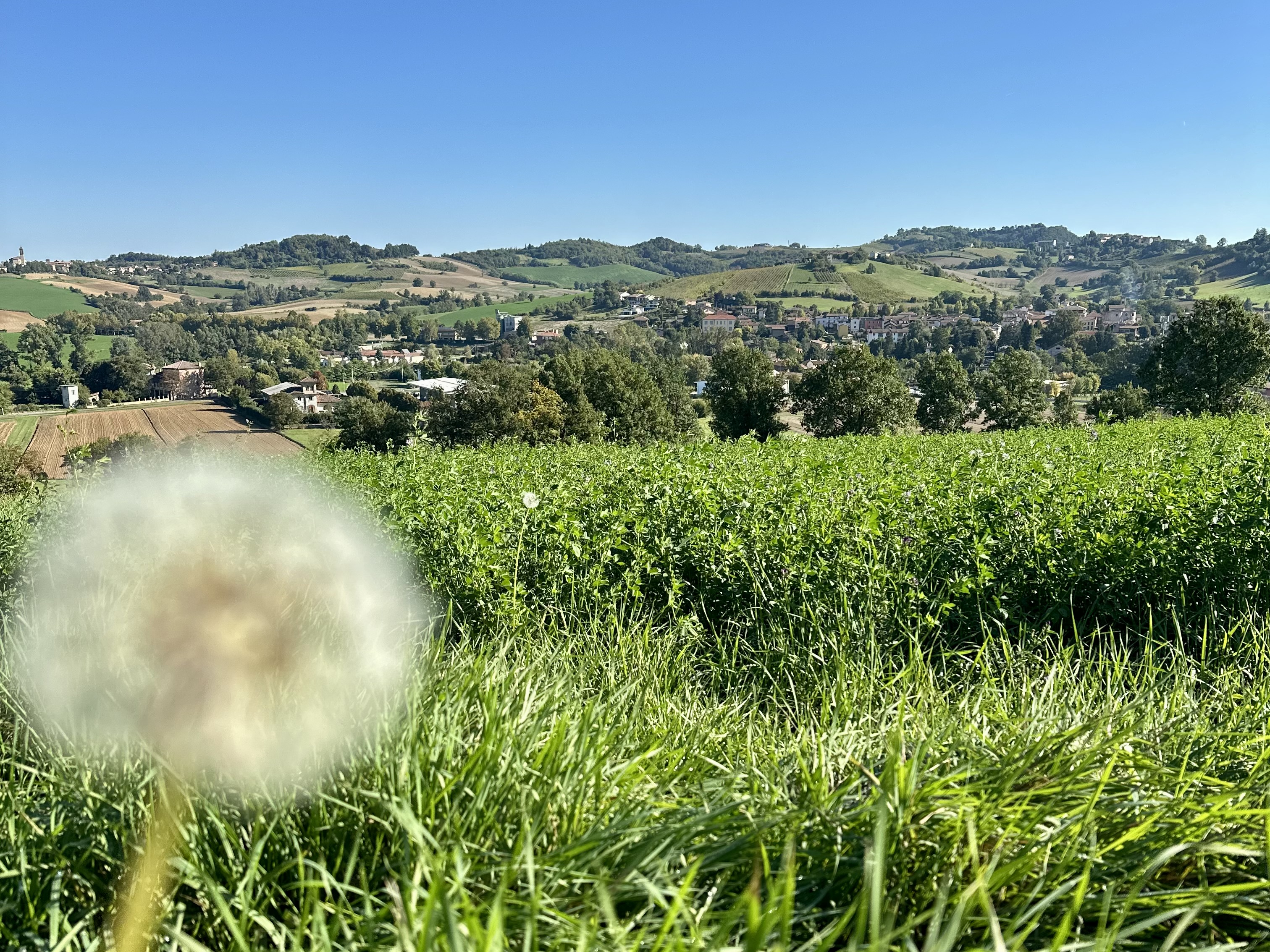 IMG_0723.jpeg