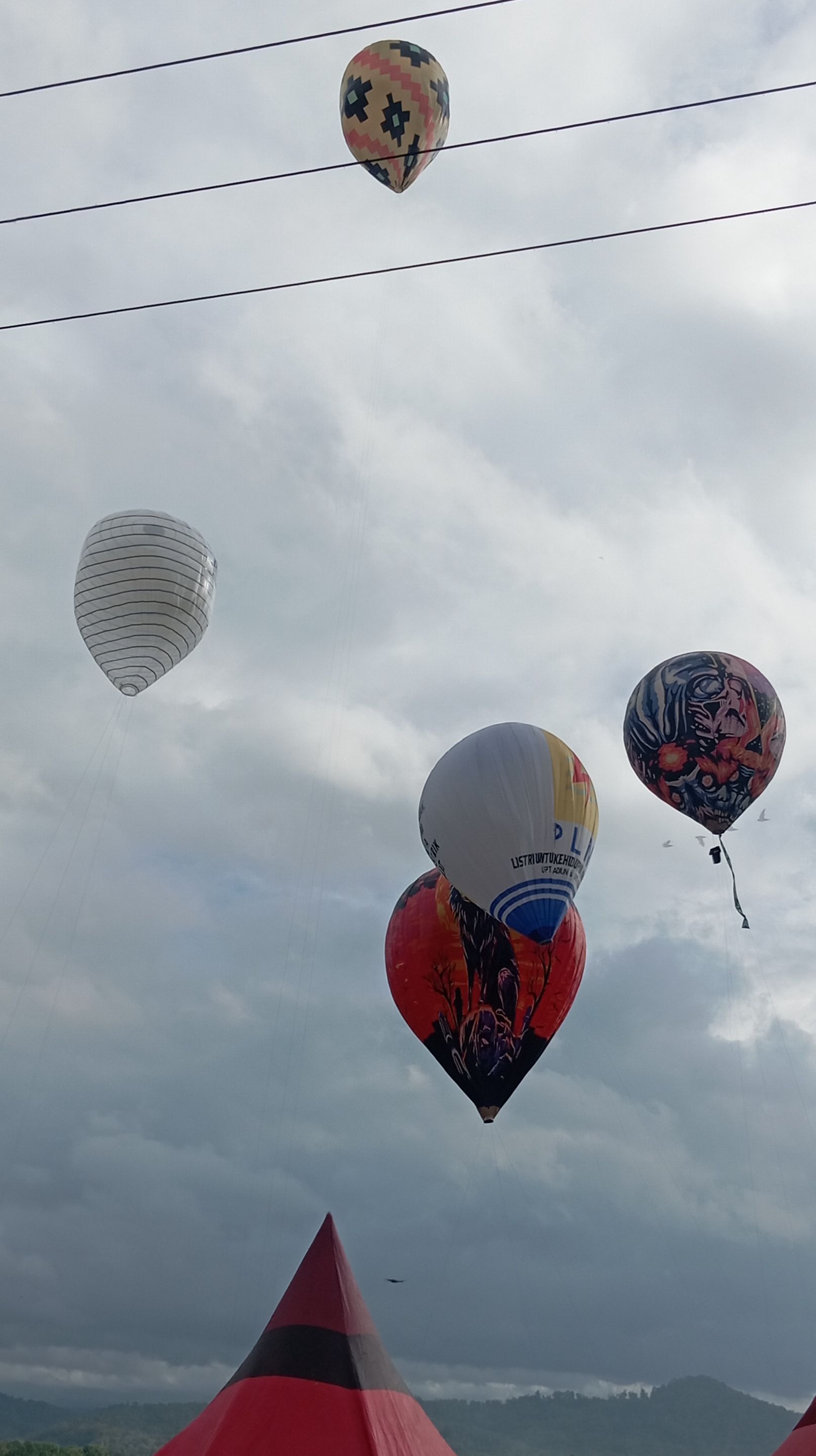 IMG_20250608_074004.jpg