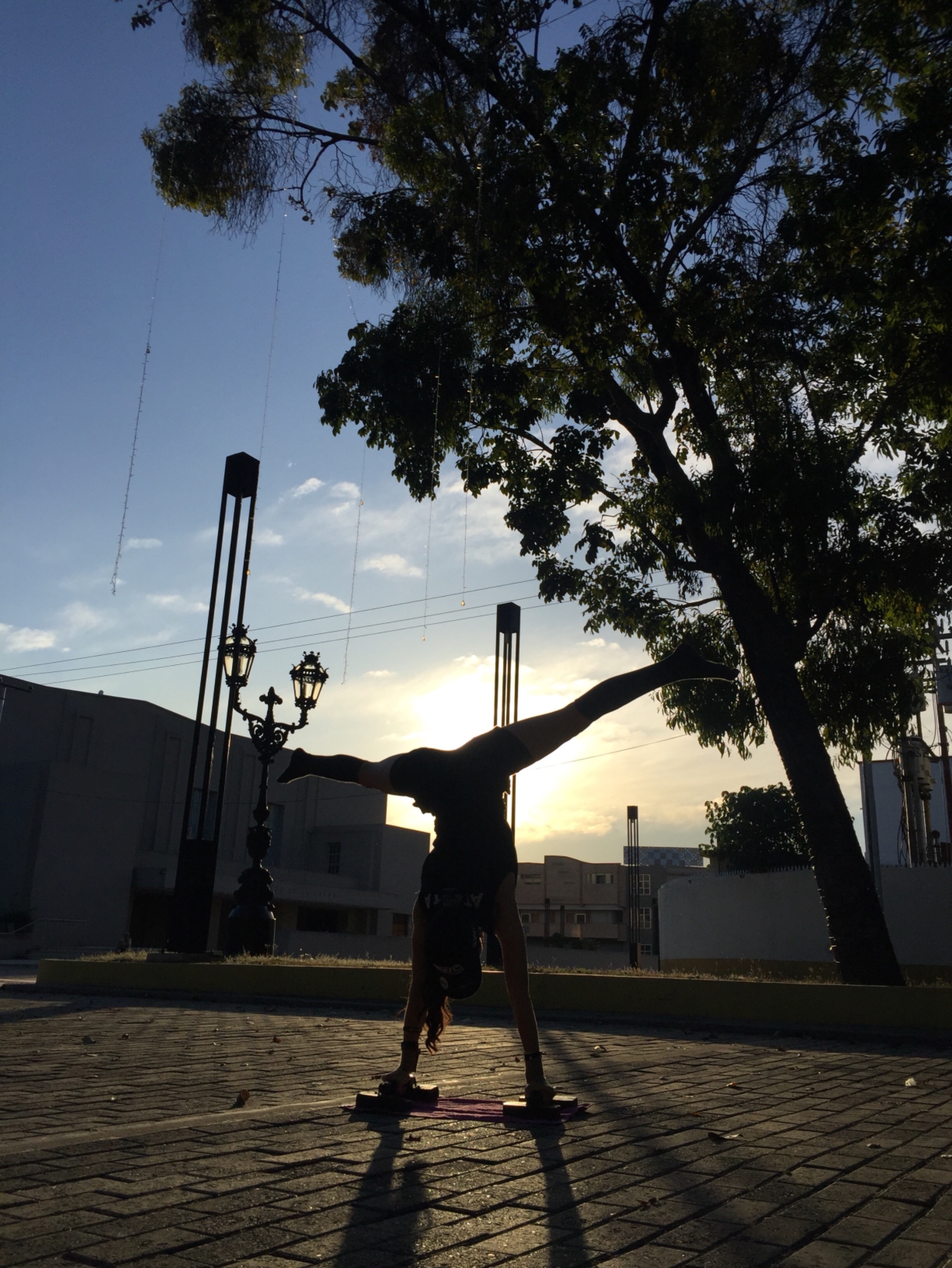 135B2016-F5A4-4CC0-88F5-3C38BFED794A.jpeg