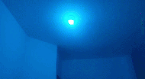 967949a8-9843-4bbf-9265-42f37d2dfb7d.gif