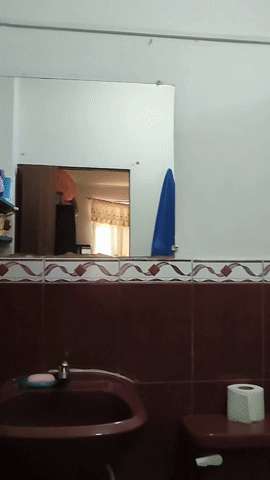 381da145-7644-4d02-b97c-17772cc24d80.gif/