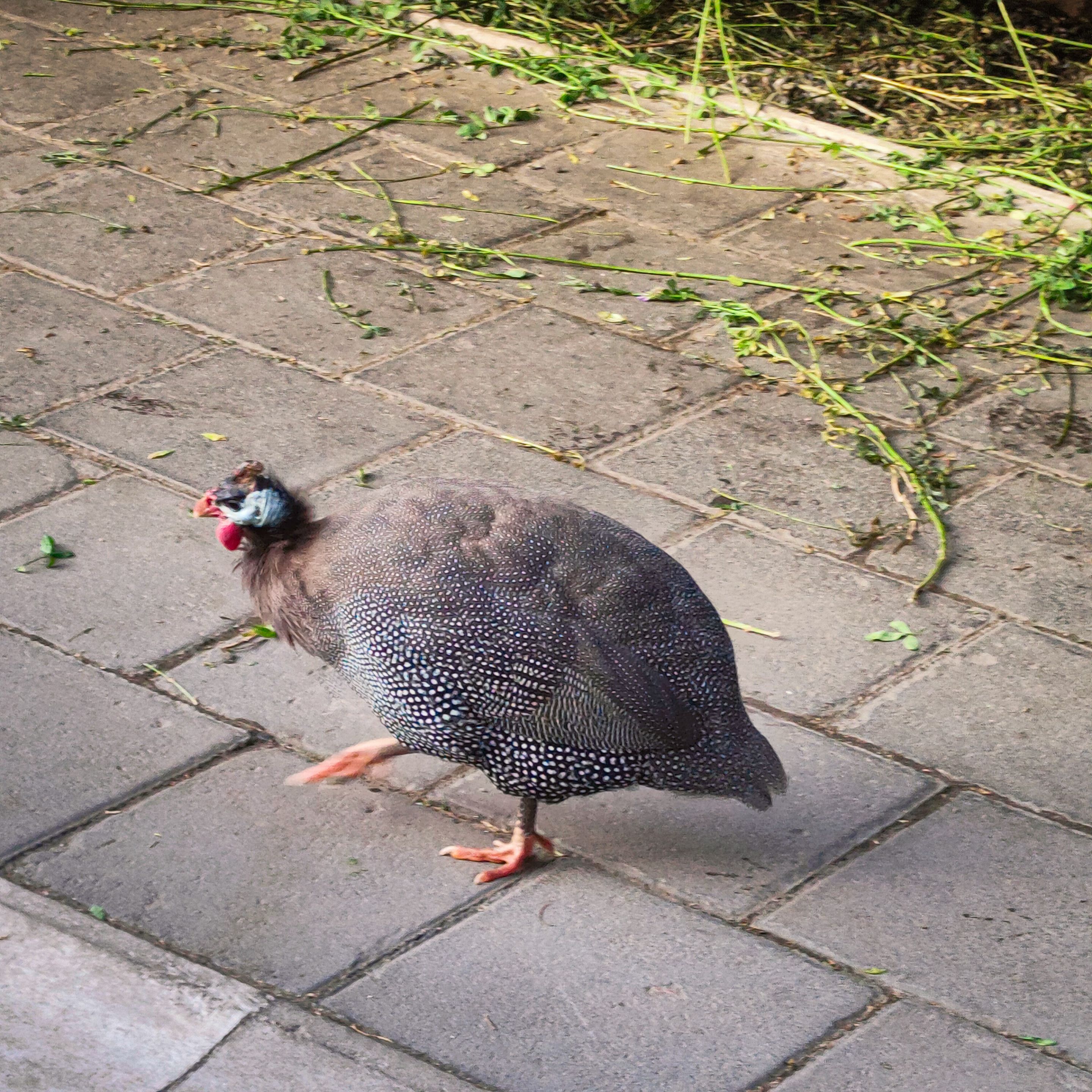 IMG20231011165551.jpg