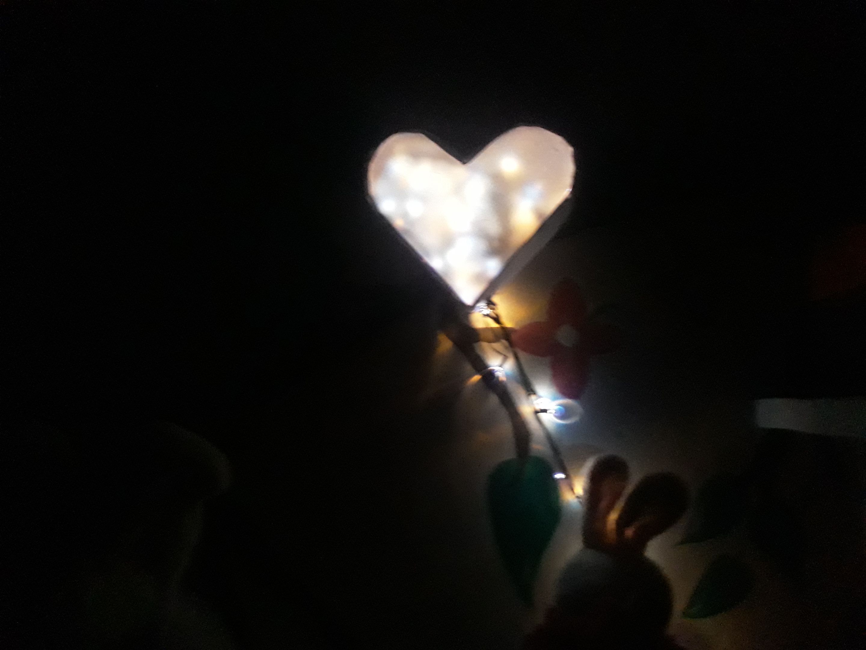 20210709_202036.jpg