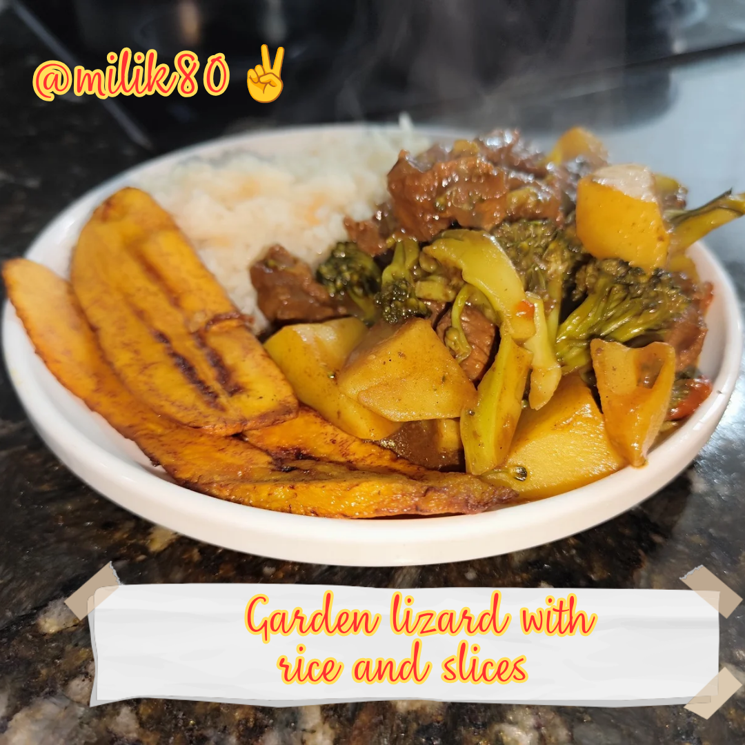 Garden lizard with rice and slices [🇺🇸/🇪🇸] Lagarto a la jardinera con arroz y tajadas