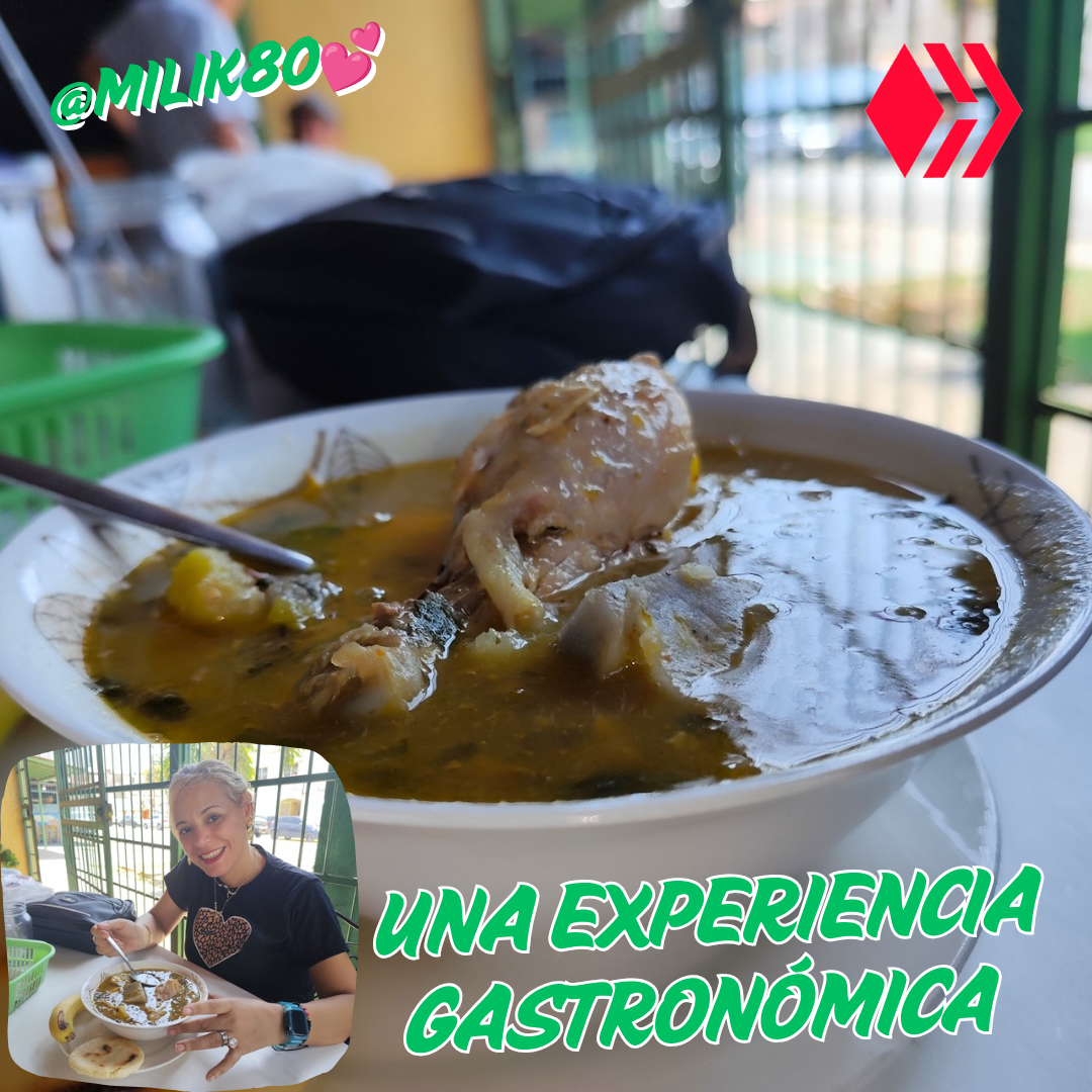 Turnos