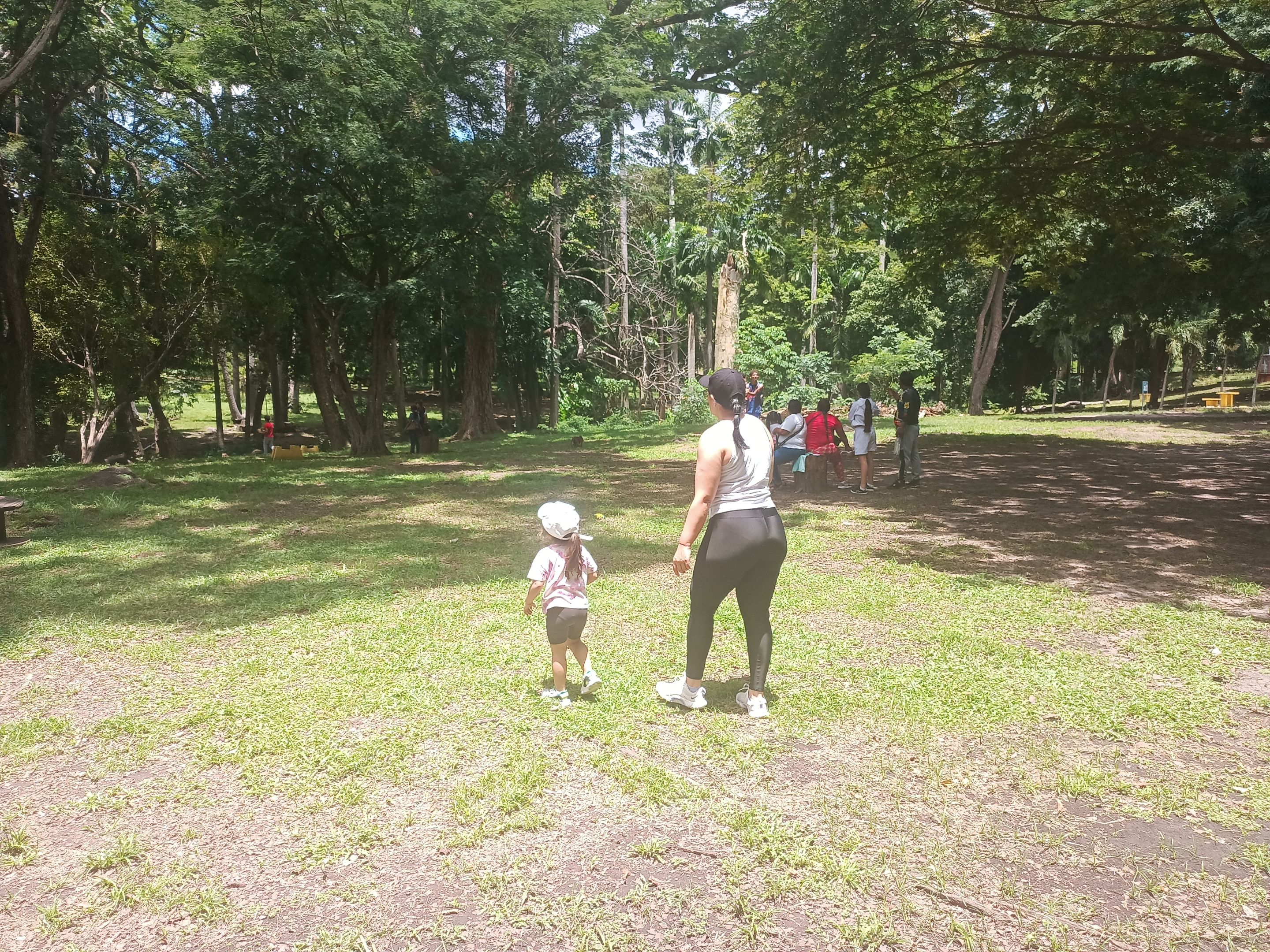 IMG_20250826_113028_387.jpg