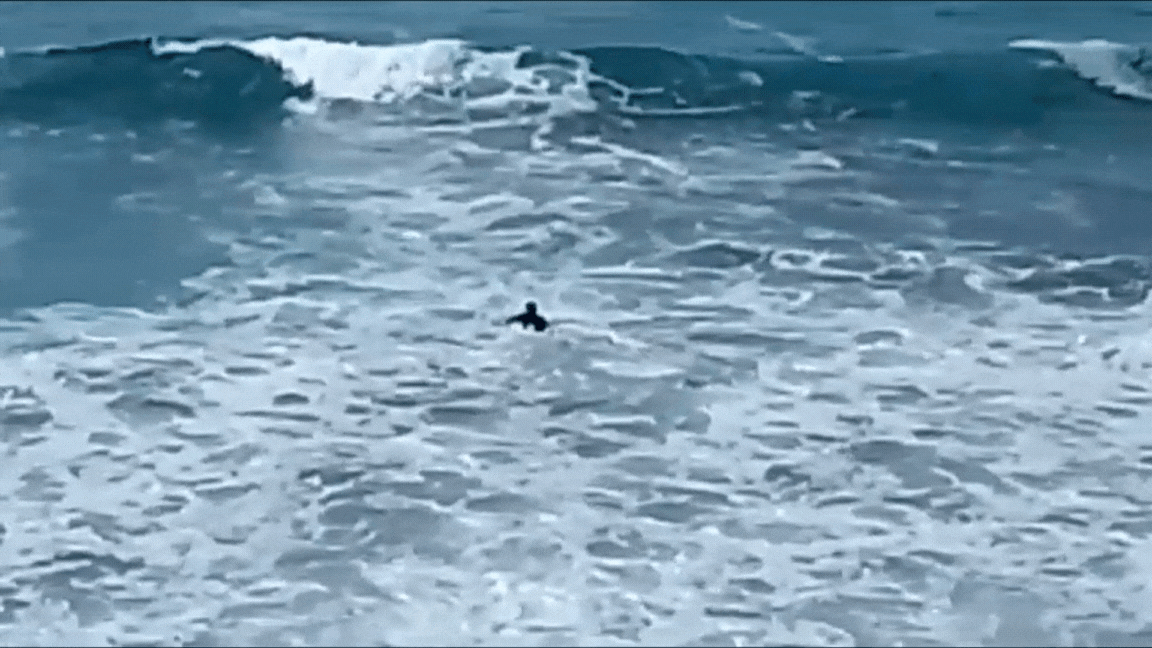 Untitled design-15.gif