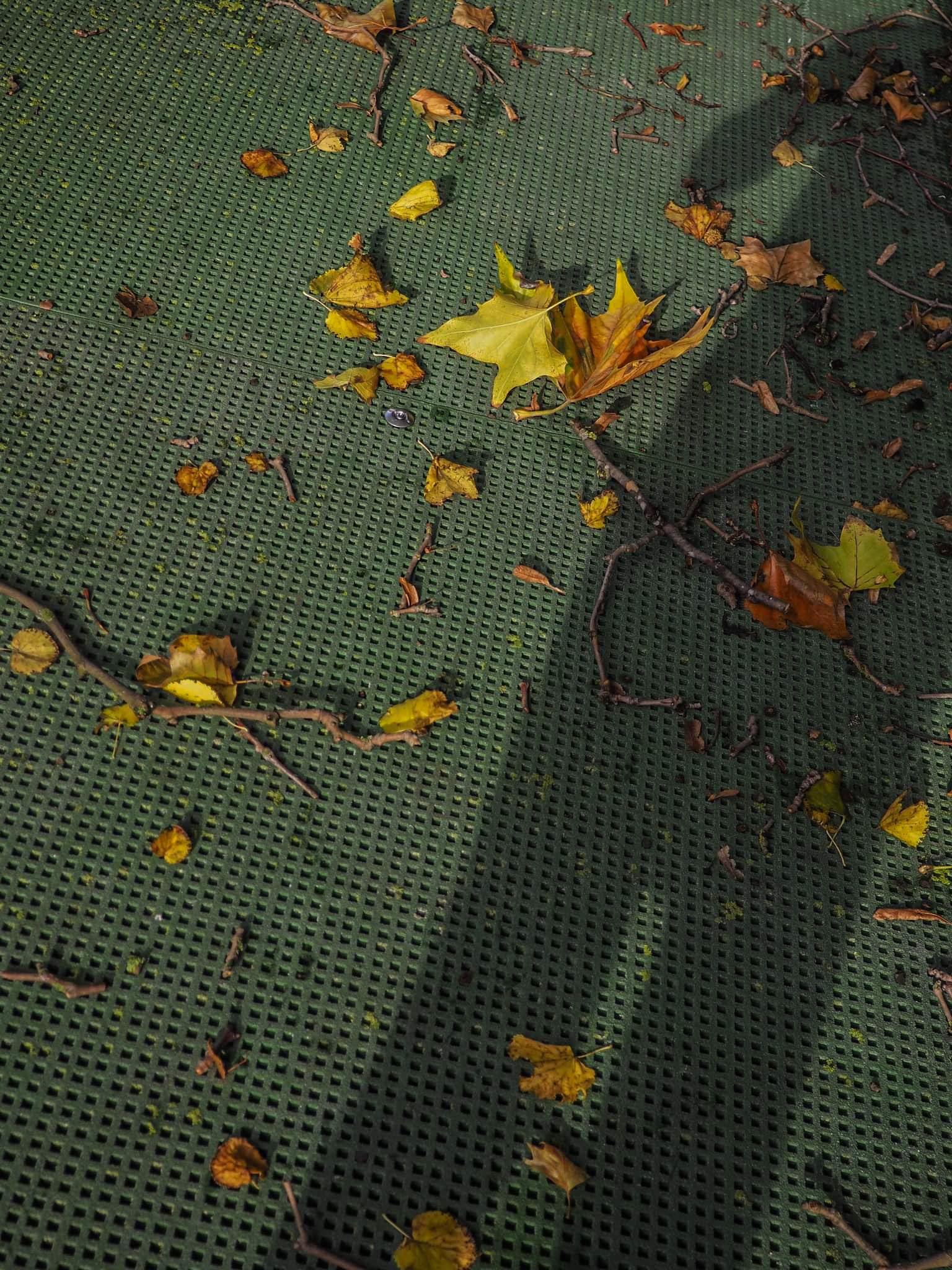 PSX_20211031_211706.jpg