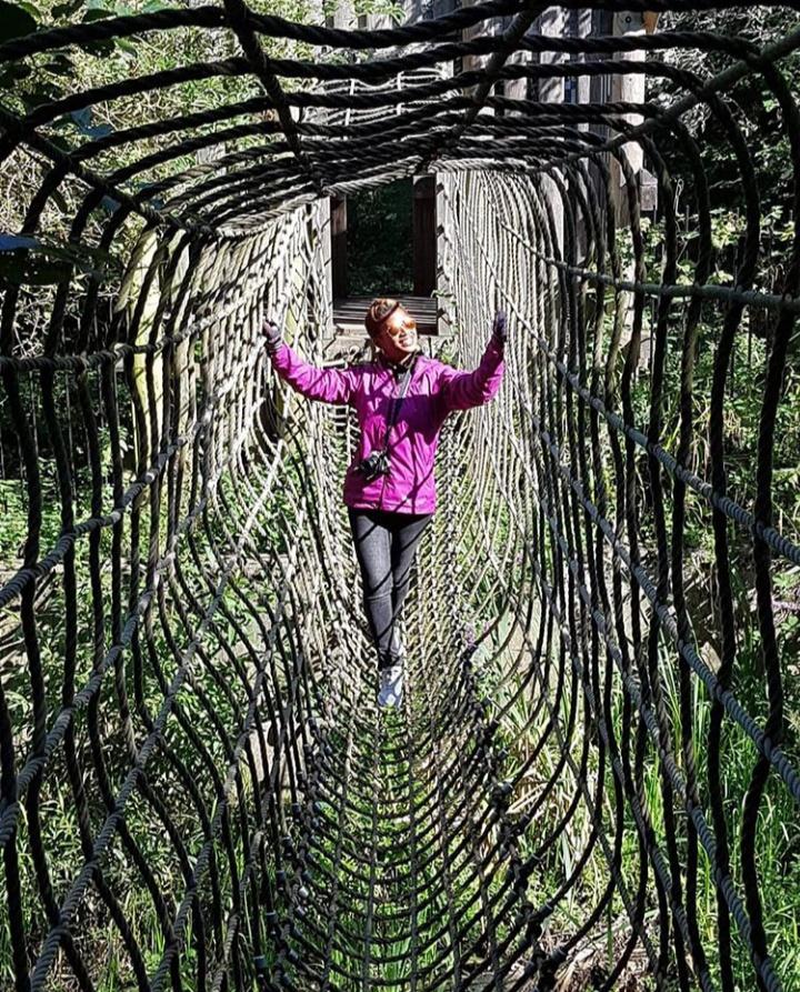 rope bridge 2.jpeg