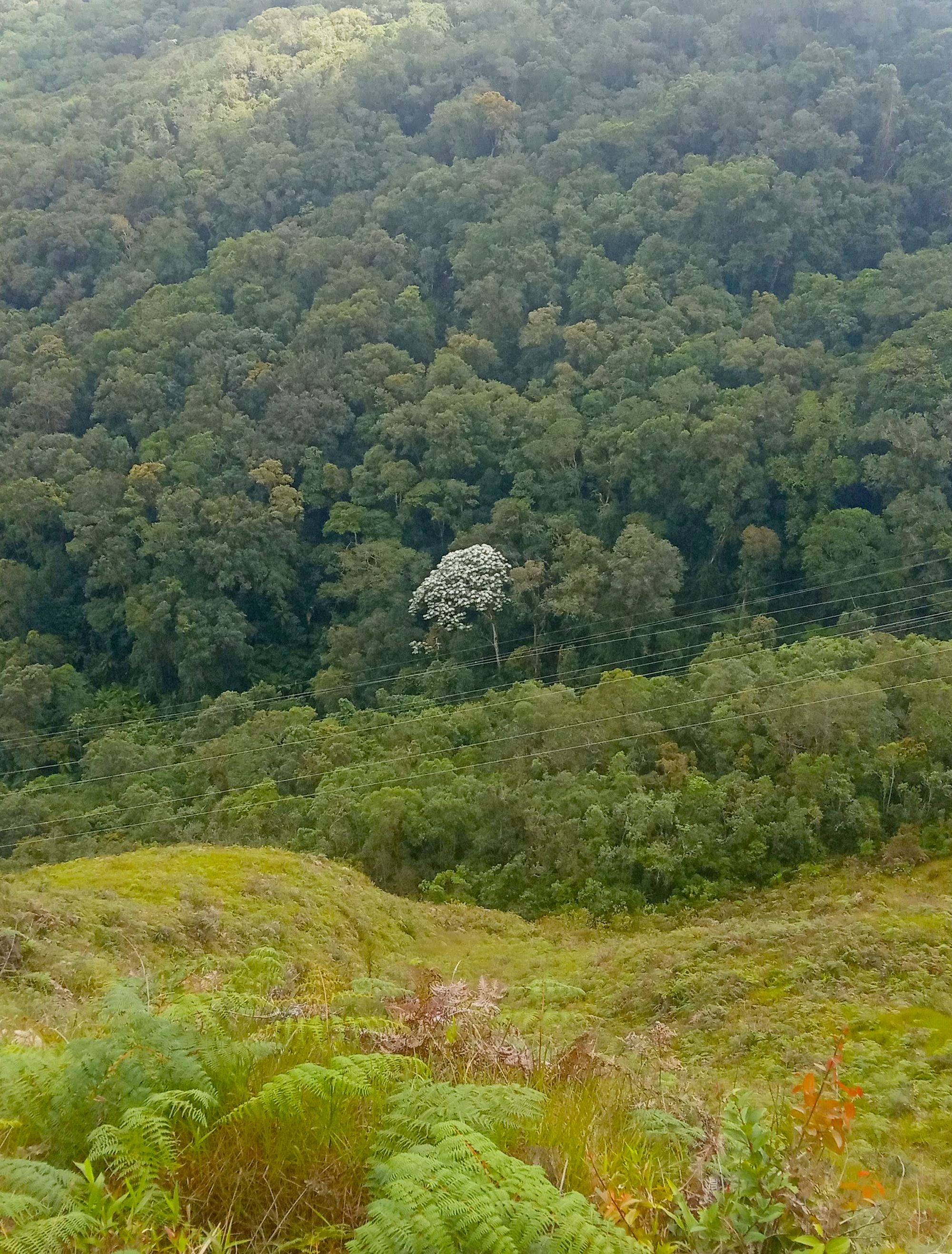 1000324983.jpg