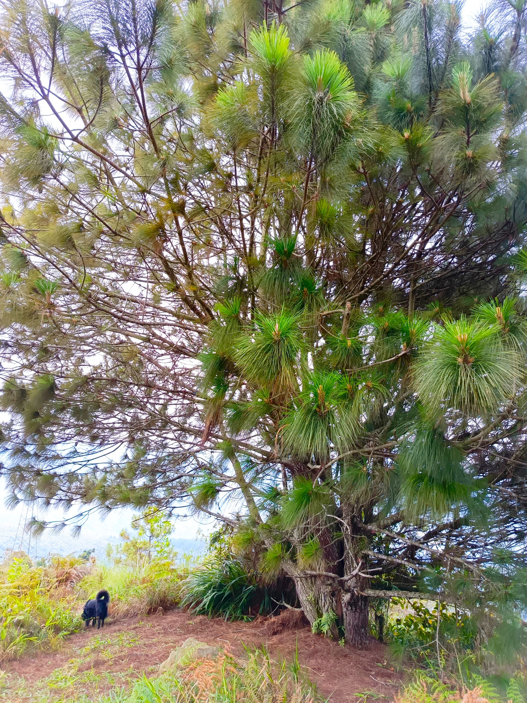 1000302578.jpg