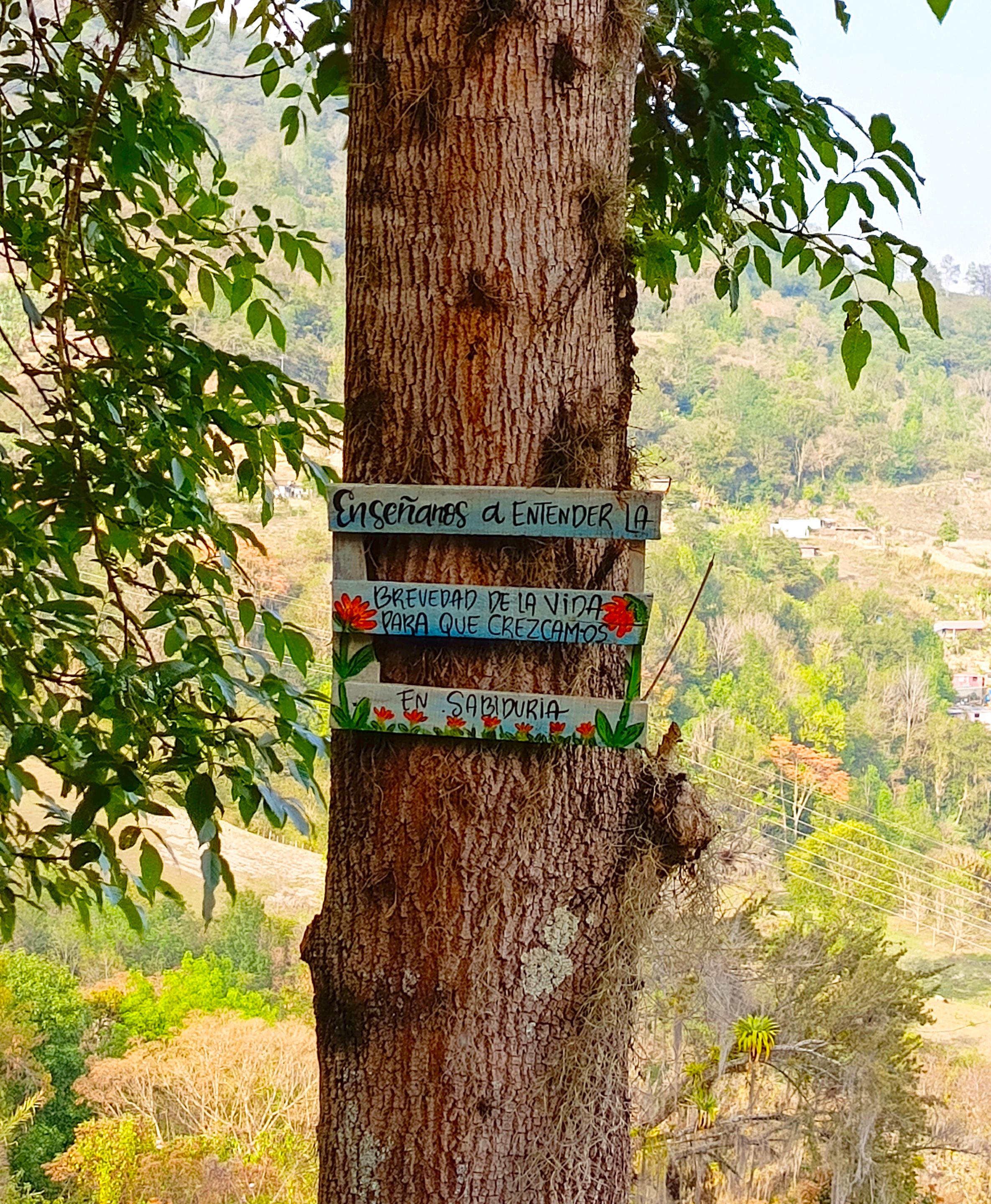 1000267712.jpg