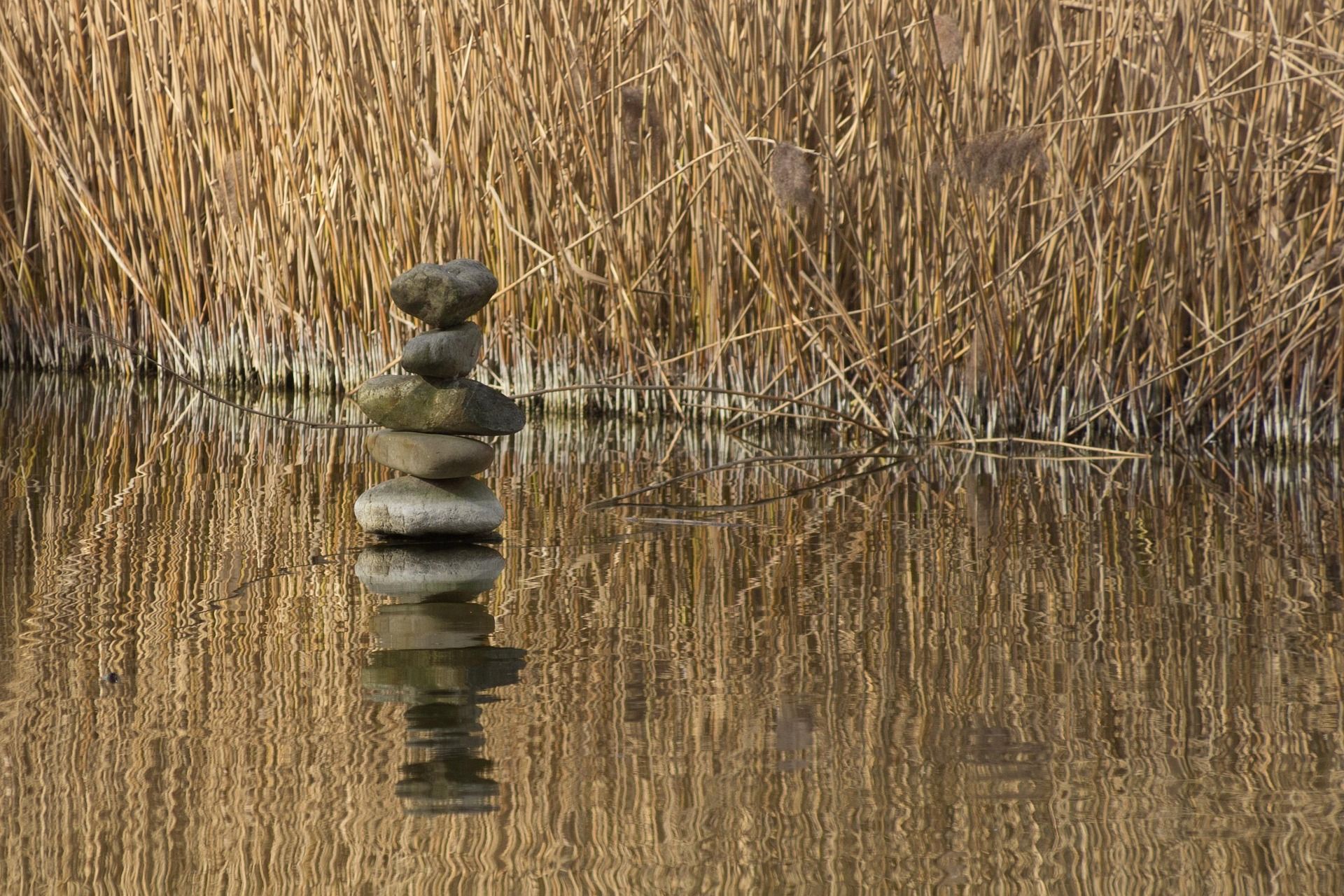 balance-863060_1920.jpg