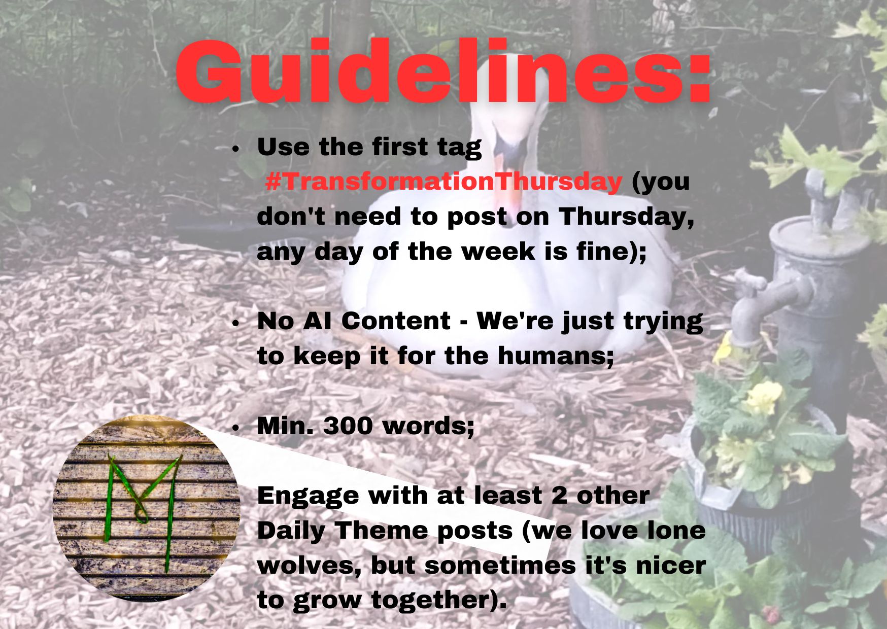 GUIDELINES Transformation Thursday.jpg