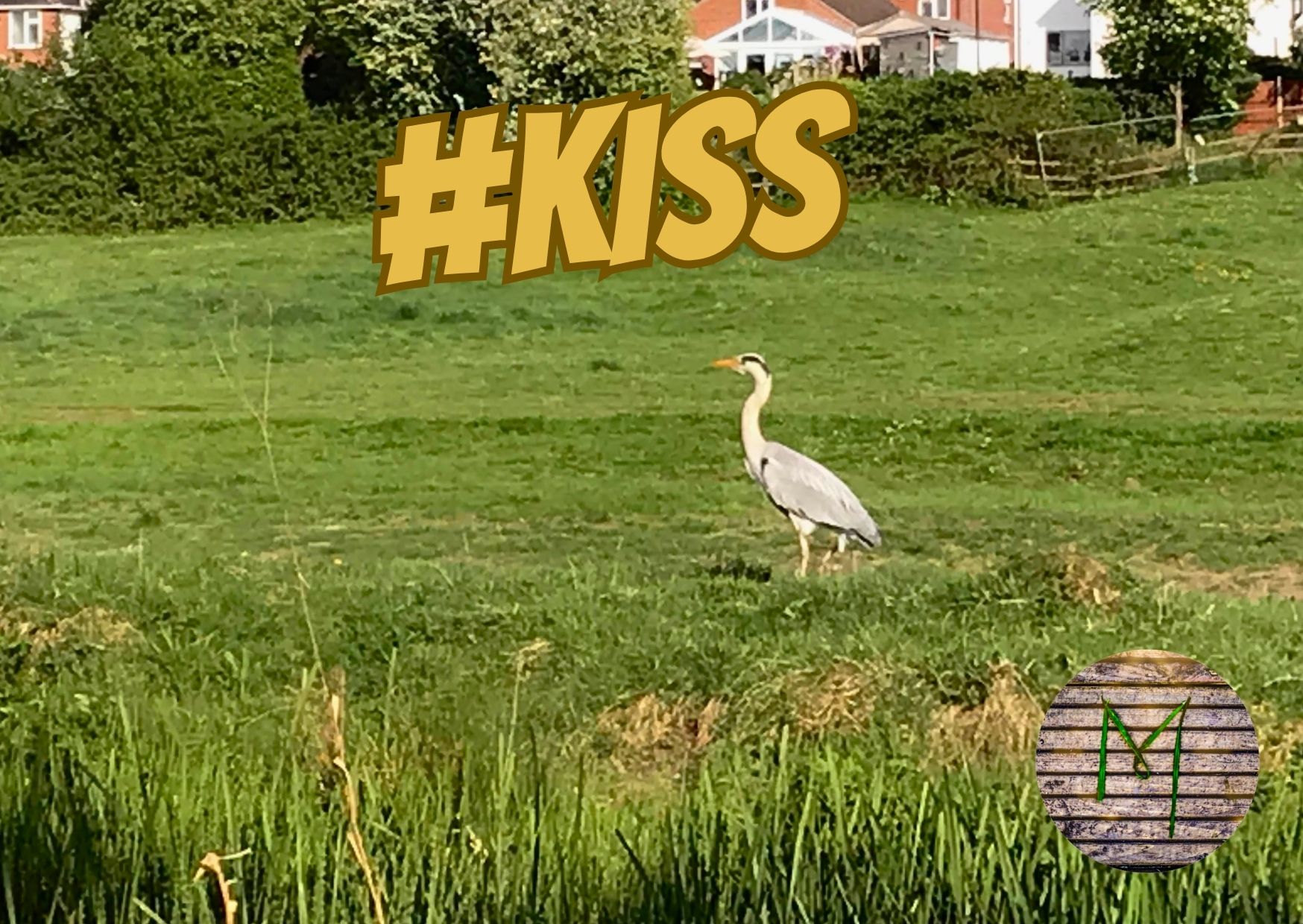 KISS #182 Oct 18 - 24.jpg