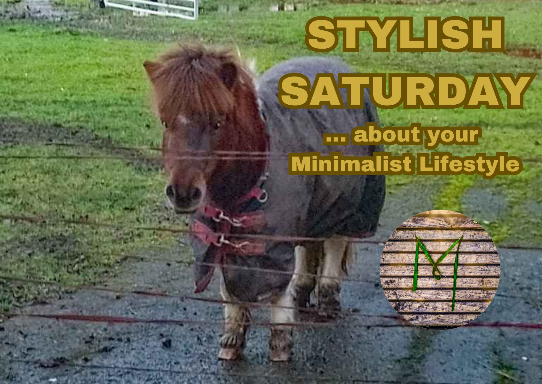 Stylish Saturday Cover.jpg