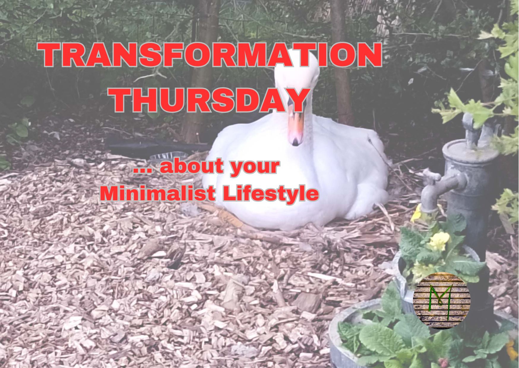 Transformation Thursday.jpg
