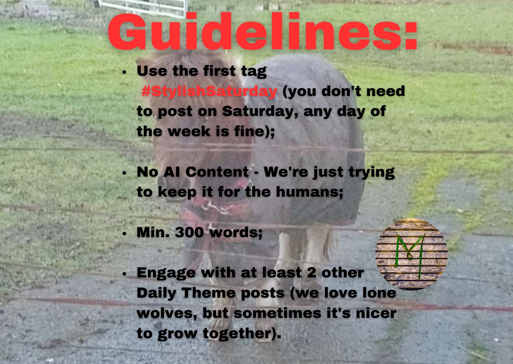 GUIDELINES STYLISH SATURDAY.jpg