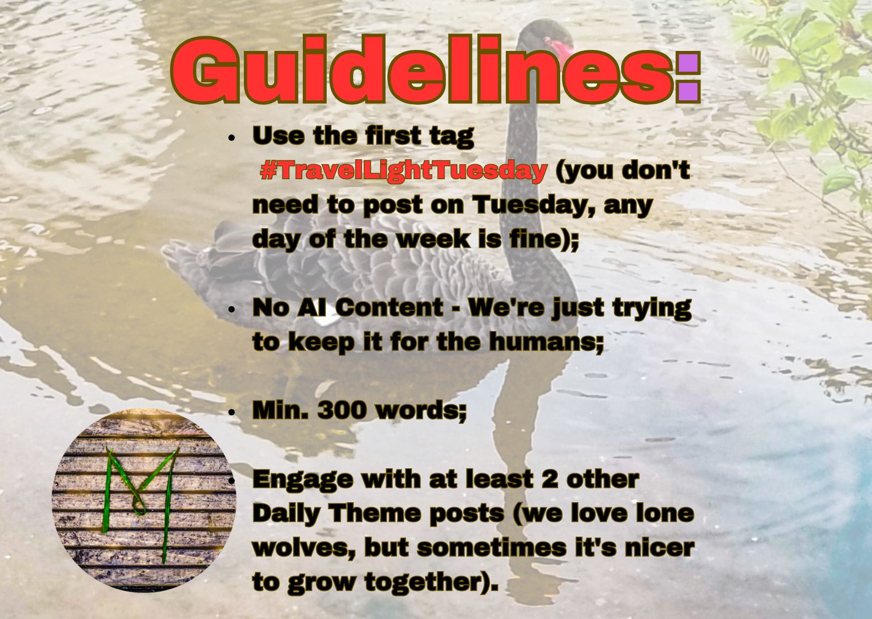 GUIDELINES TRAVEL LIGHT TUESDAY.jpg