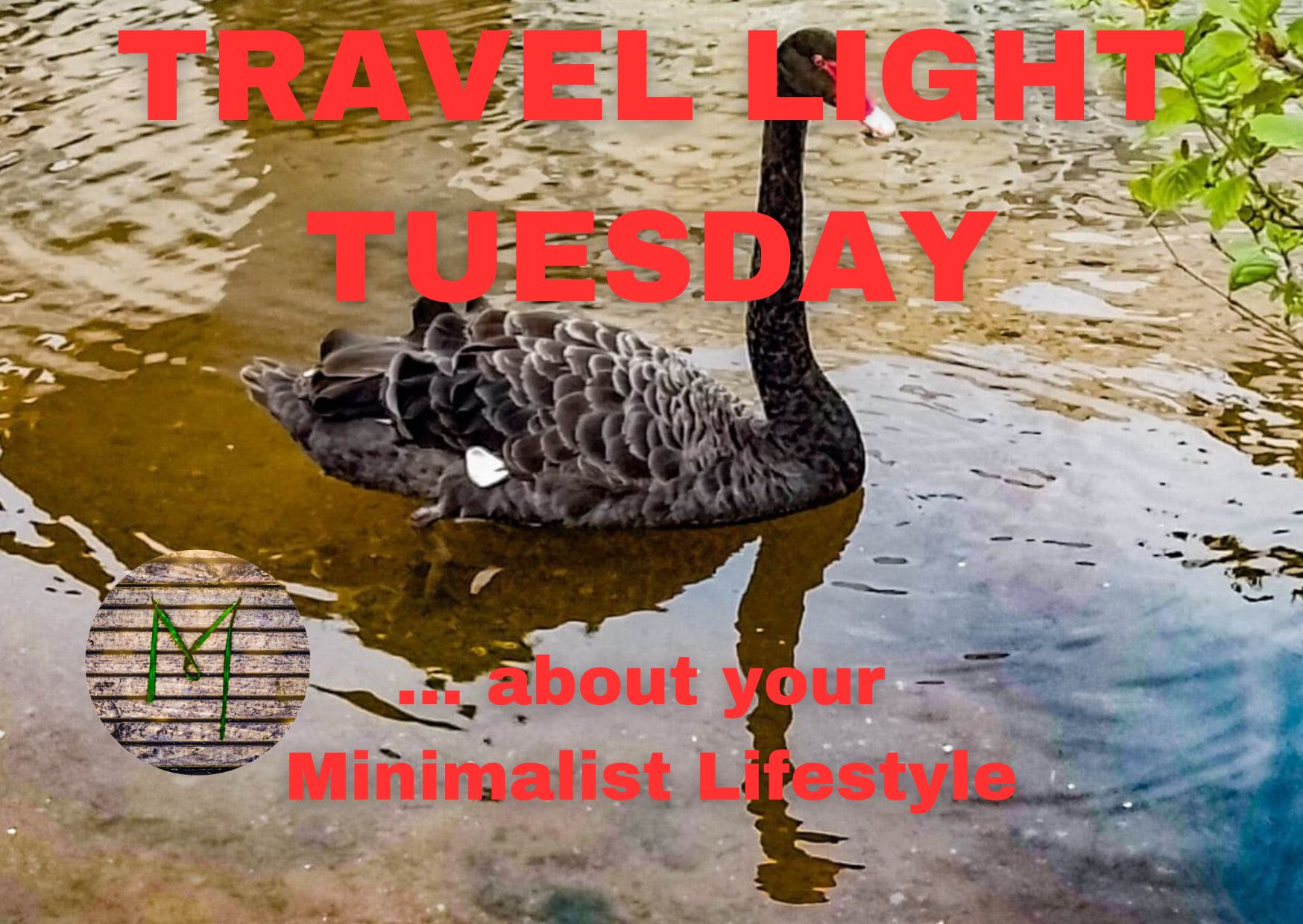 TravelLightTuesday COVER.jpg