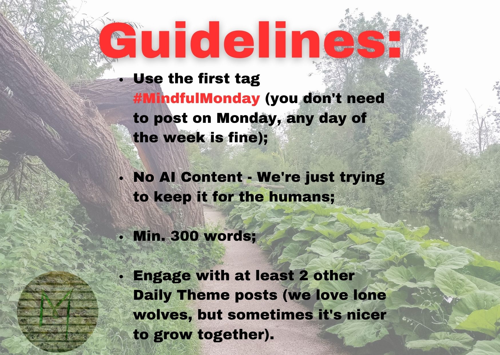 GUIDELINES MINDFUL MONDAY.jpg