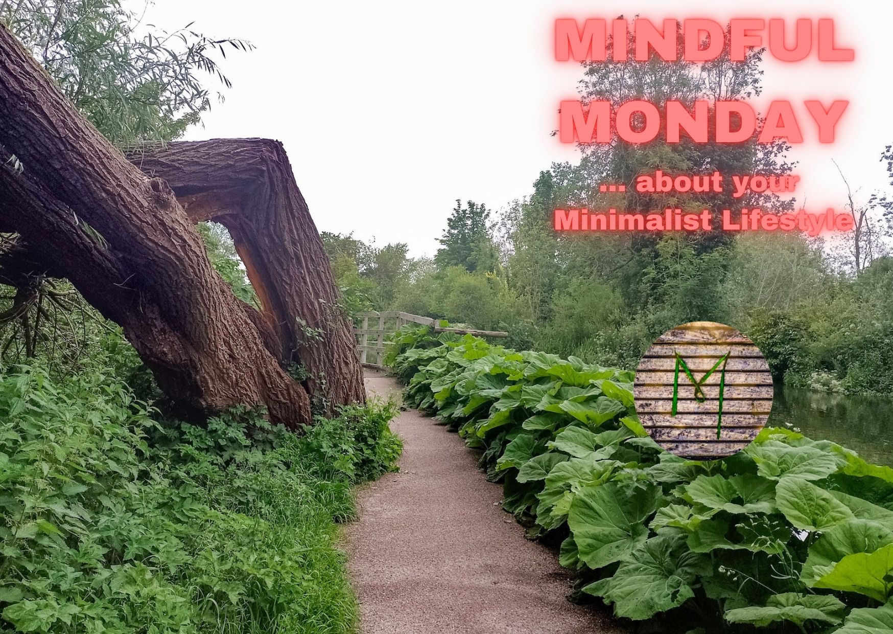 Mindful Monday.jpg