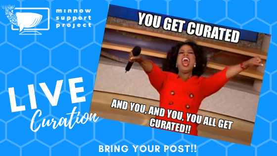 curation 3.png