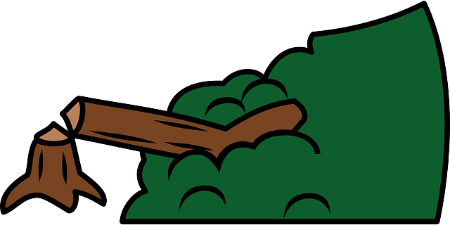 tree42301_640.png